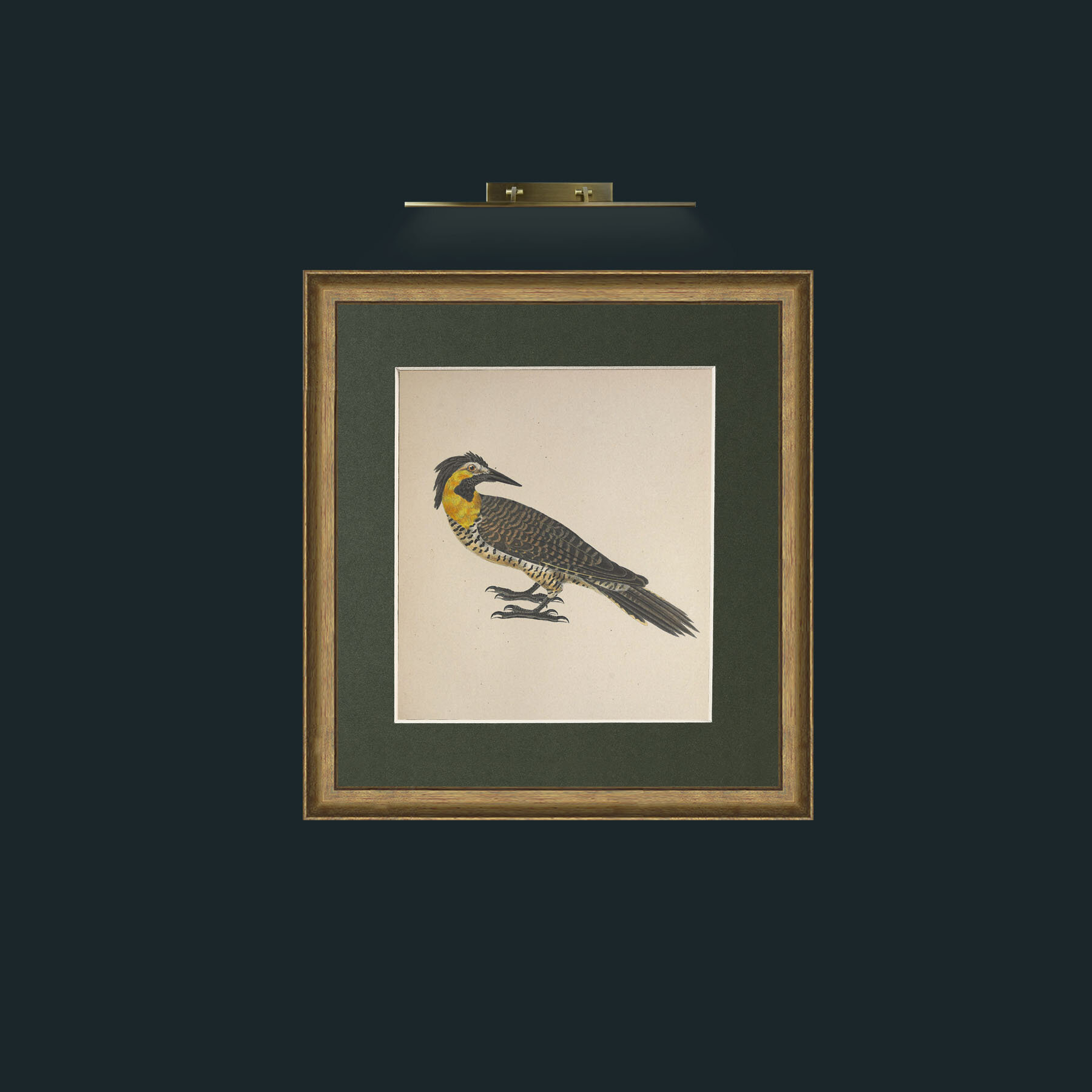 Art-Campestris Picus Frame-8RedGreenGilt-Mount-2Green-Art-Campestris Picus .jpg