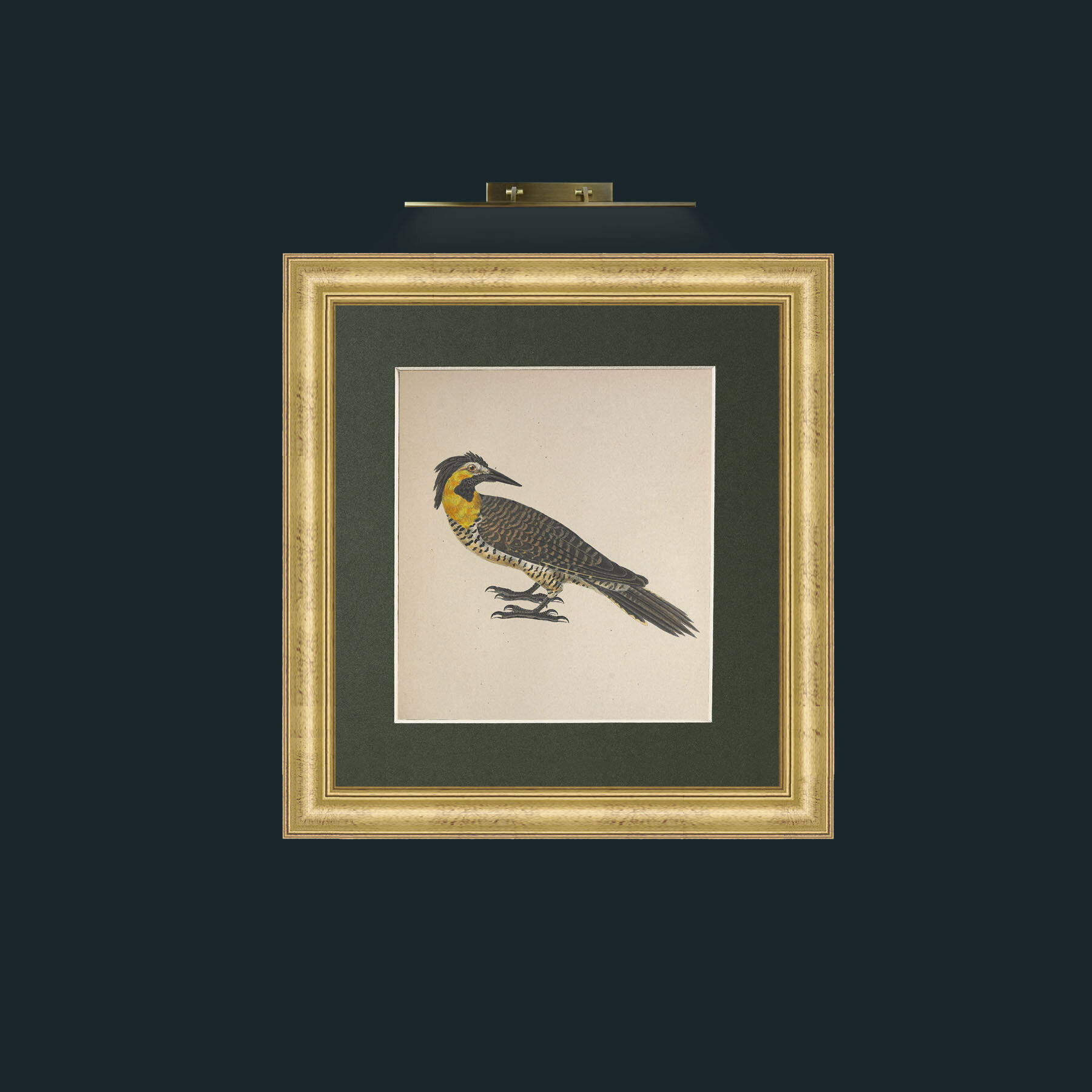 Art-Campestris Picus Frame-9WideGilt-Mount-2Green-Art-Campestris Picus .jpg