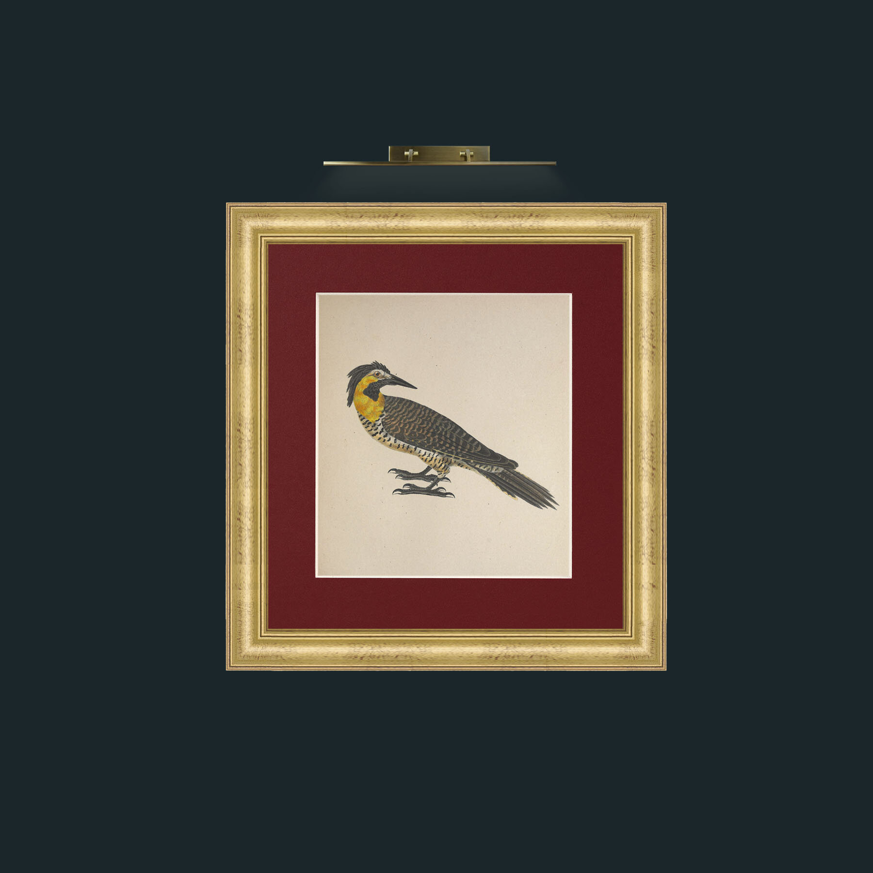 Art-Campestris Picus Frame-9WideGilt-Mount-4Red-Art-Campestris Picus .jpg