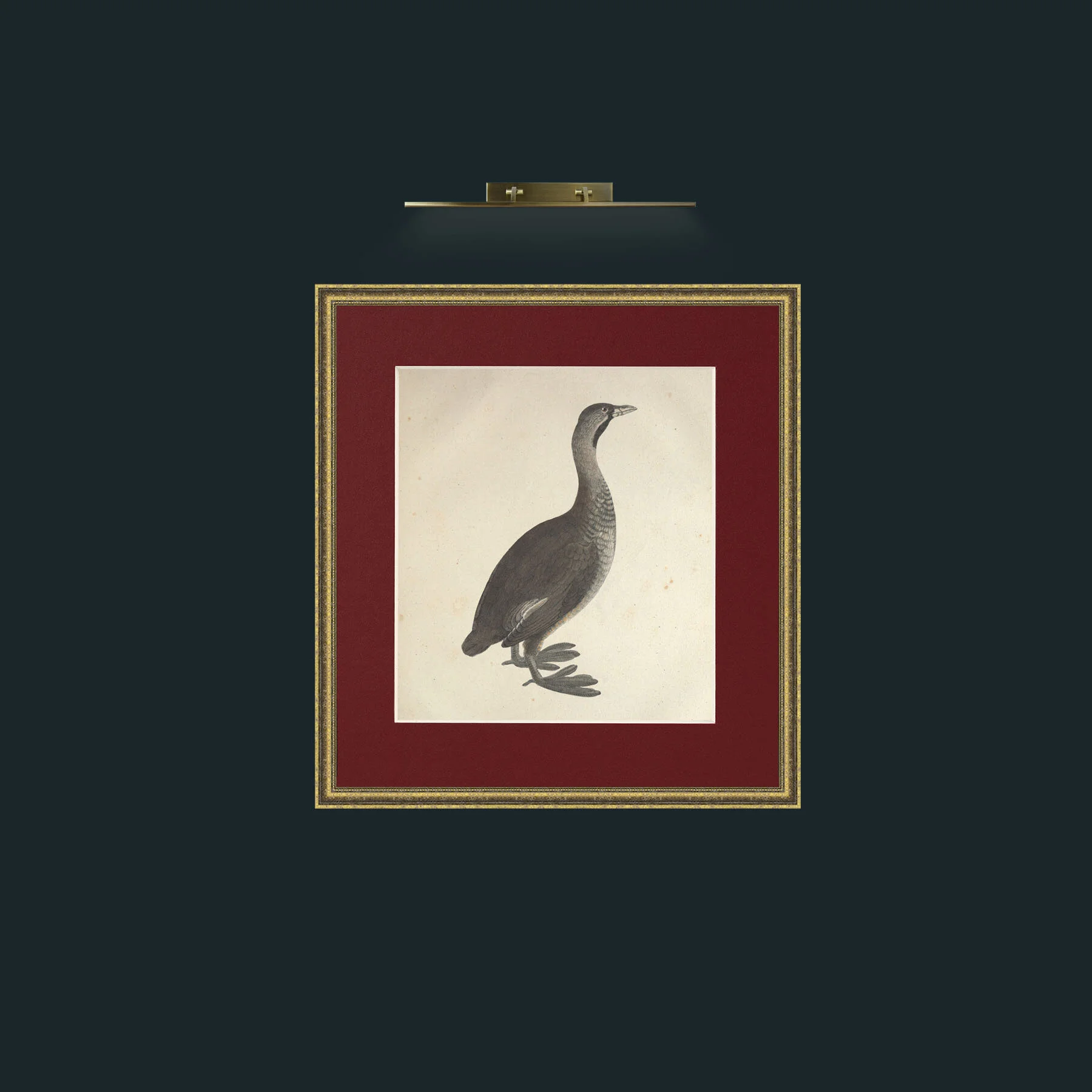 Art-Carolinensis PodicepsFrame-1GiltTextured-Mount-4Red-Art-Carolinensis Podiceps.jpg