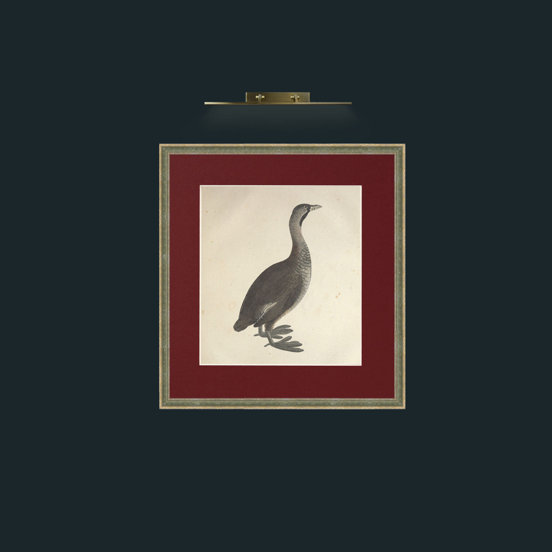 Art-Carolinensis PodicepsFrame-2GreenGiltTextured-Mount-4Red-Art-Carolinensis Podiceps.jpg