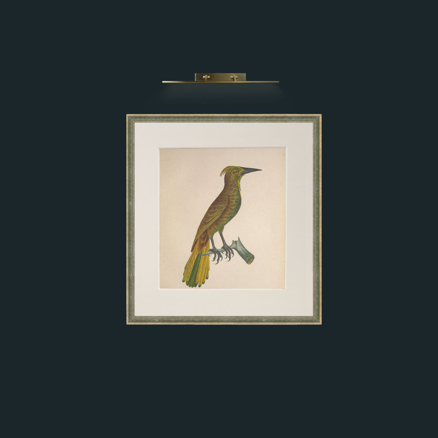 Art-Cassicus 2Frame-2GreenGiltTextured-Mount-1Antique-Art-Cassicus 2.jpg