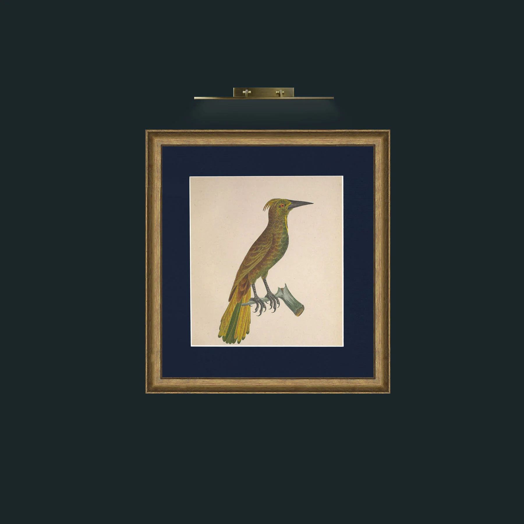 Art-Cassicus 2Frame-8RedGreenGilt-Mount-3Blue-Art-Cassicus 2.jpg