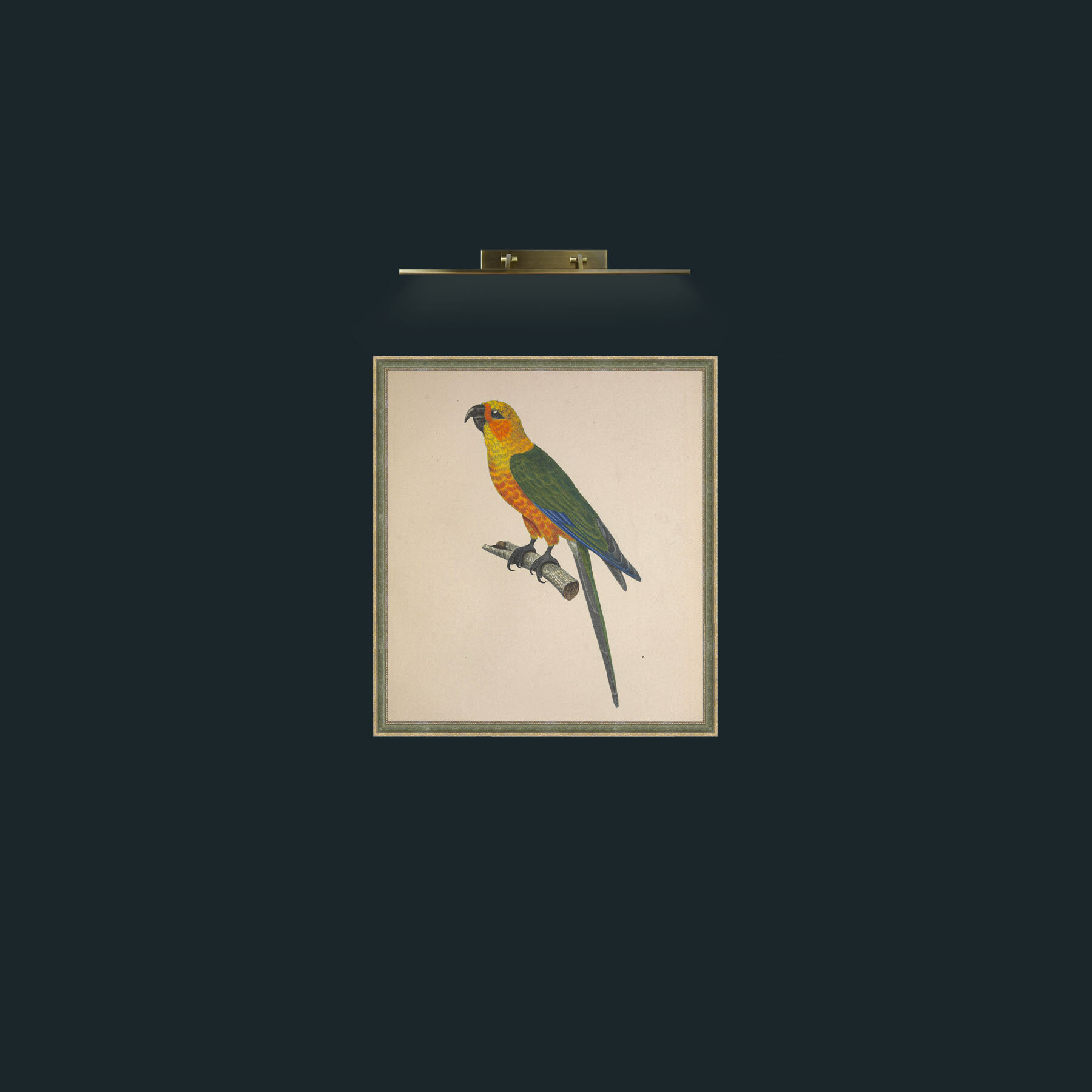 Art-Chrysocephalus AratingaFrame-2GreenGiltTextured-Art-Chrysocephalus Aratinga.jpg