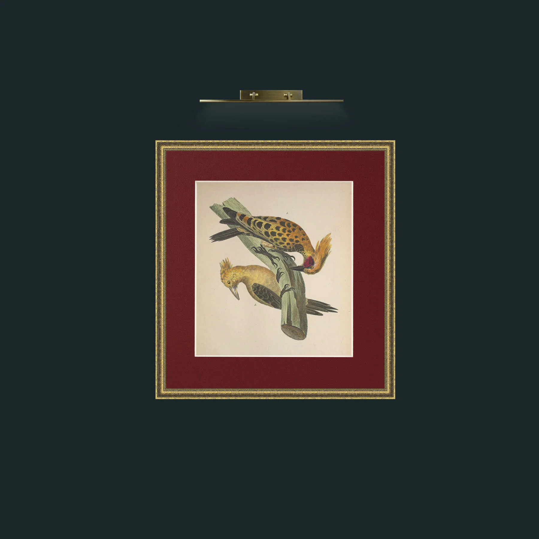 Art-Crested PicusFrame-1GiltTextured-Mount-4Red-Art-Crested Picus.jpg