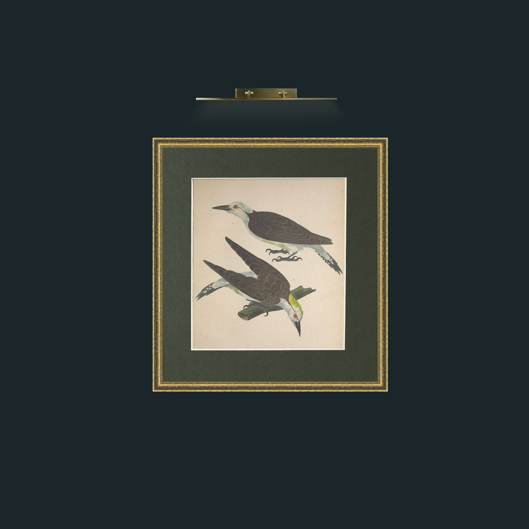Art-Dominicanus PicusFrame-1GiltTextured-Mount-2Green-Art-Dominicanus Picus.jpg