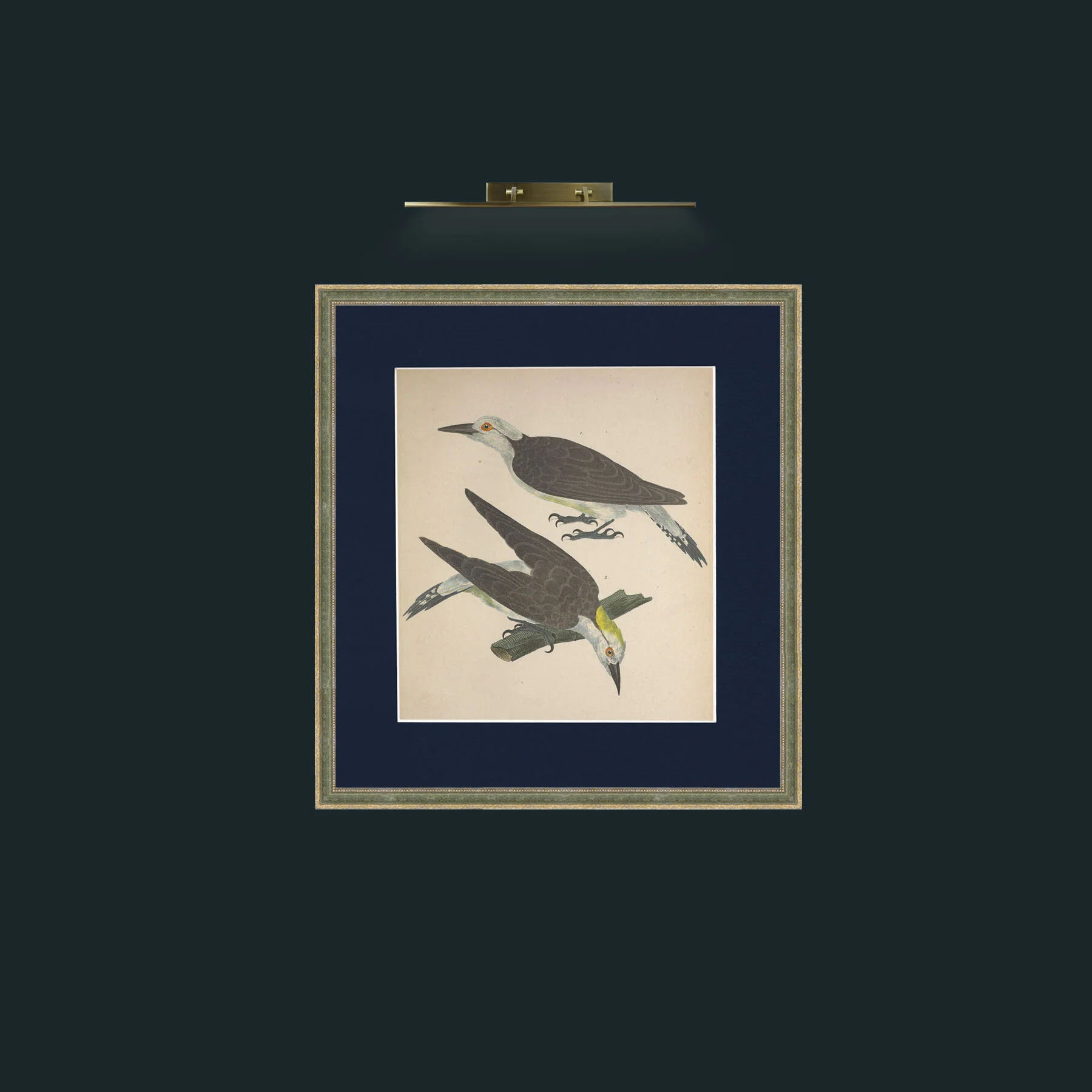 Art-Dominicanus PicusFrame-2GreenGiltTextured-Mount-3Blue-Art-Dominicanus Picus.jpg