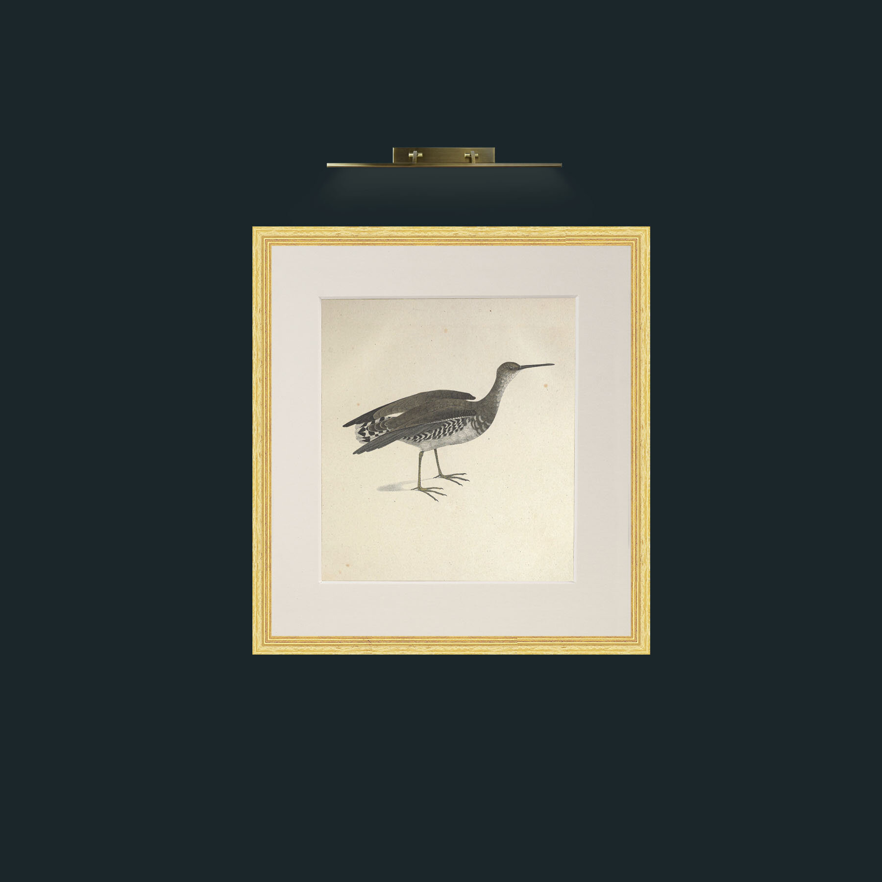 Art-Macroptrea TringaFrame-4BevelledGilt-Mount-1Antique-Art-Macroptrea Tringa.jpg