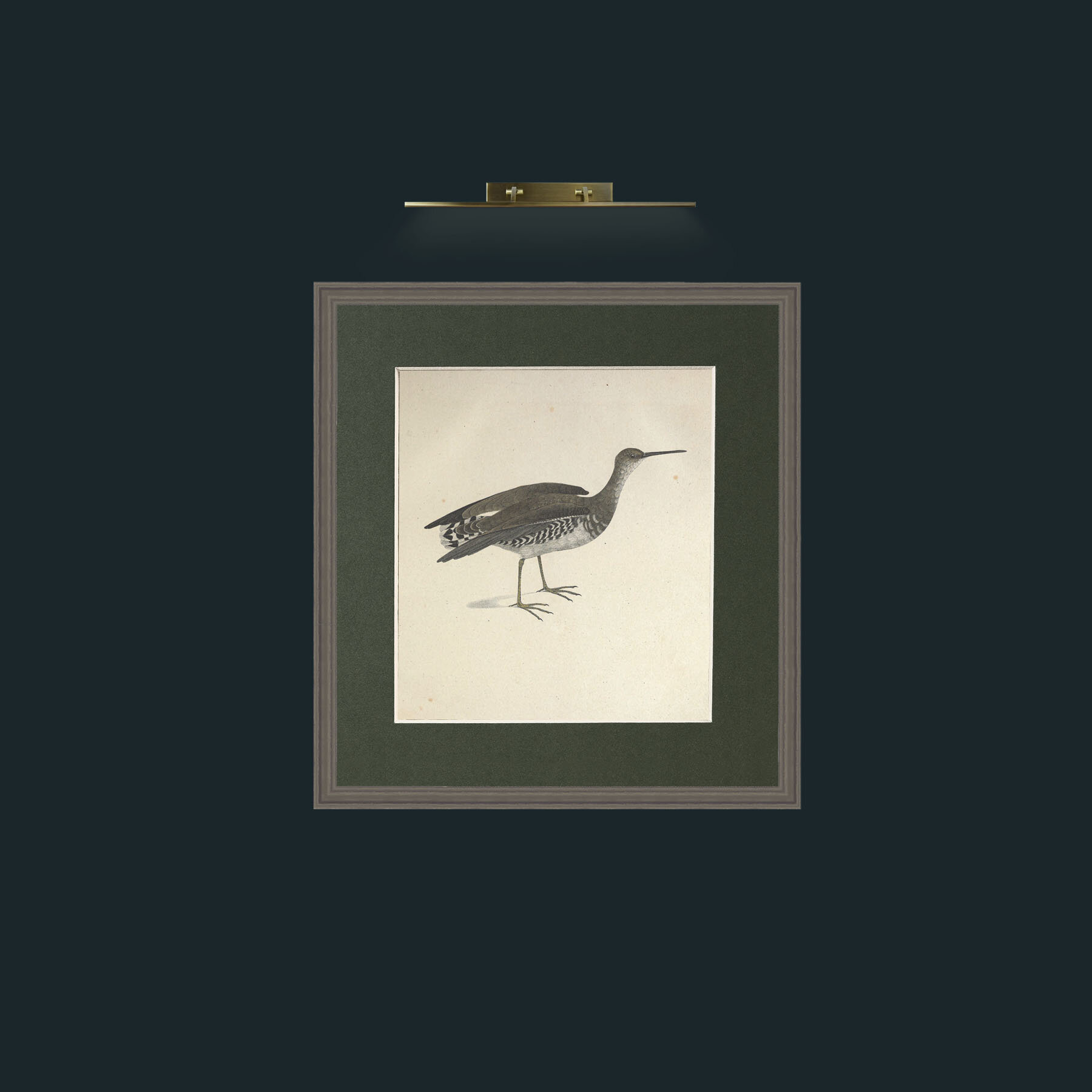 Art-Macroptrea TringaFrame-6Grey-Mount-2Green-Art-Macroptrea Tringa.jpg