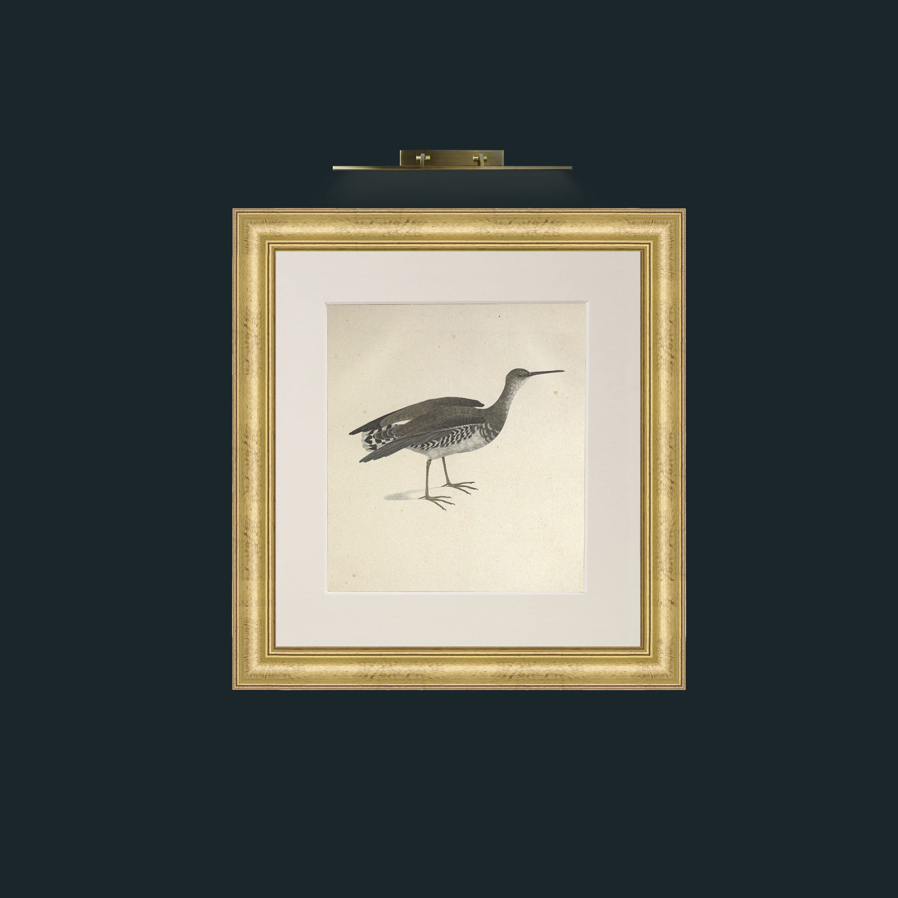 Art-Macroptrea TringaFrame-9WideGilt-Mount-1Antique-Art-Macroptrea Tringa.jpg