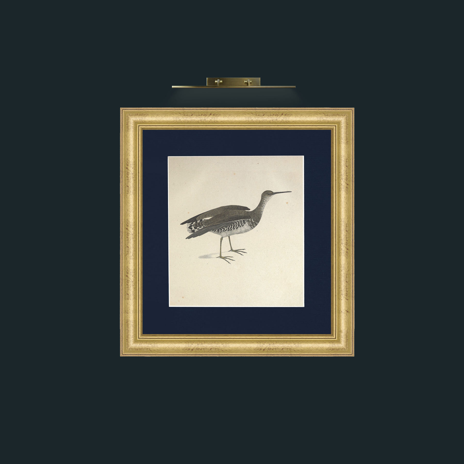 Art-Macroptrea TringaFrame-9WideGilt-Mount-3Blue-Art-Macroptrea Tringa.jpg
