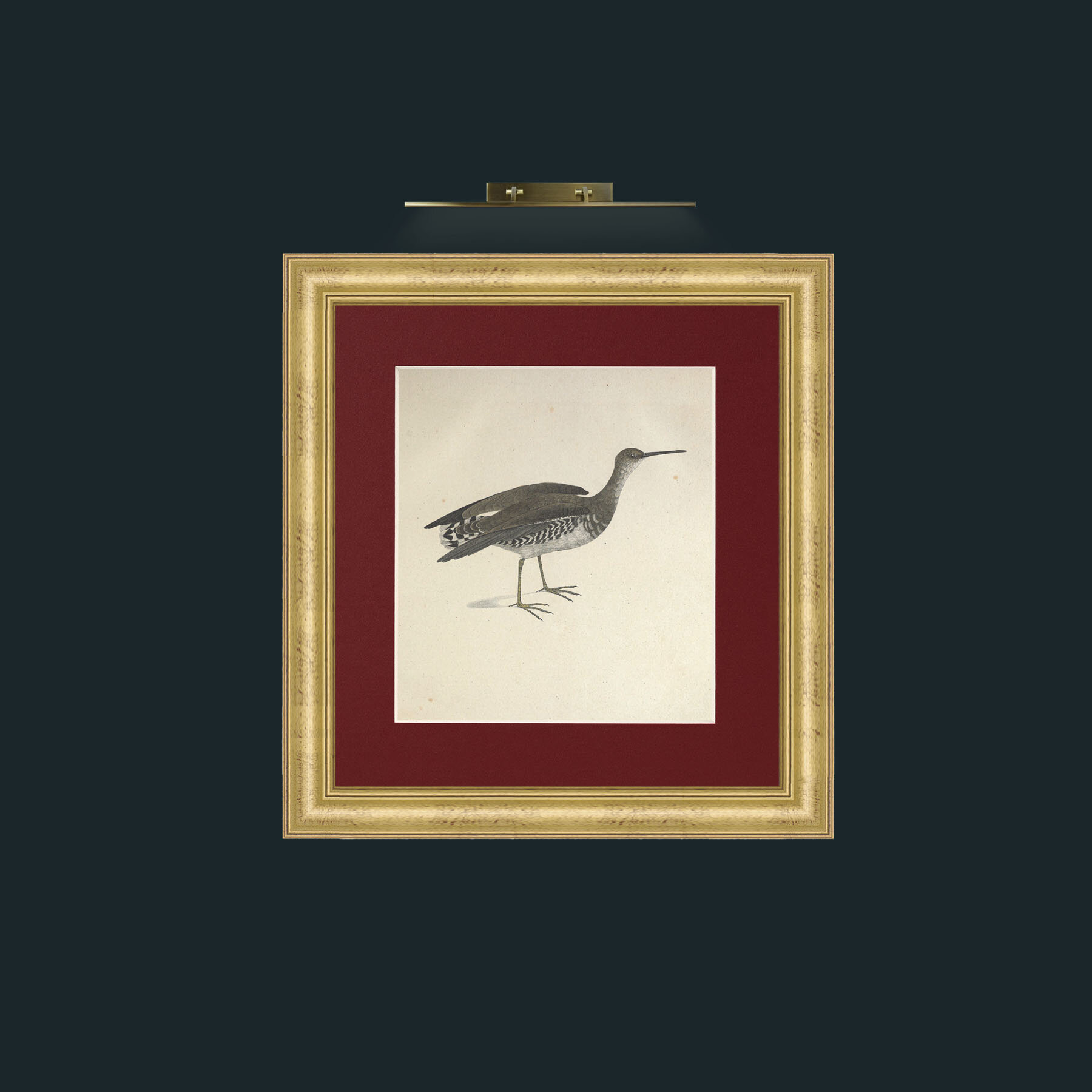 Art-Macroptrea TringaFrame-9WideGilt-Mount-4Red-Art-Macroptrea Tringa.jpg