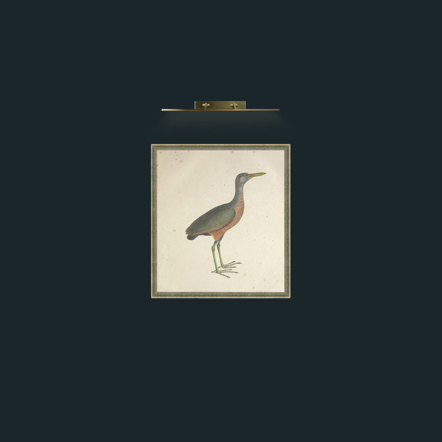 Art-Mangle GallinulaFrame-2GreenGiltTextured-Art-Mangle Gallinula.jpg