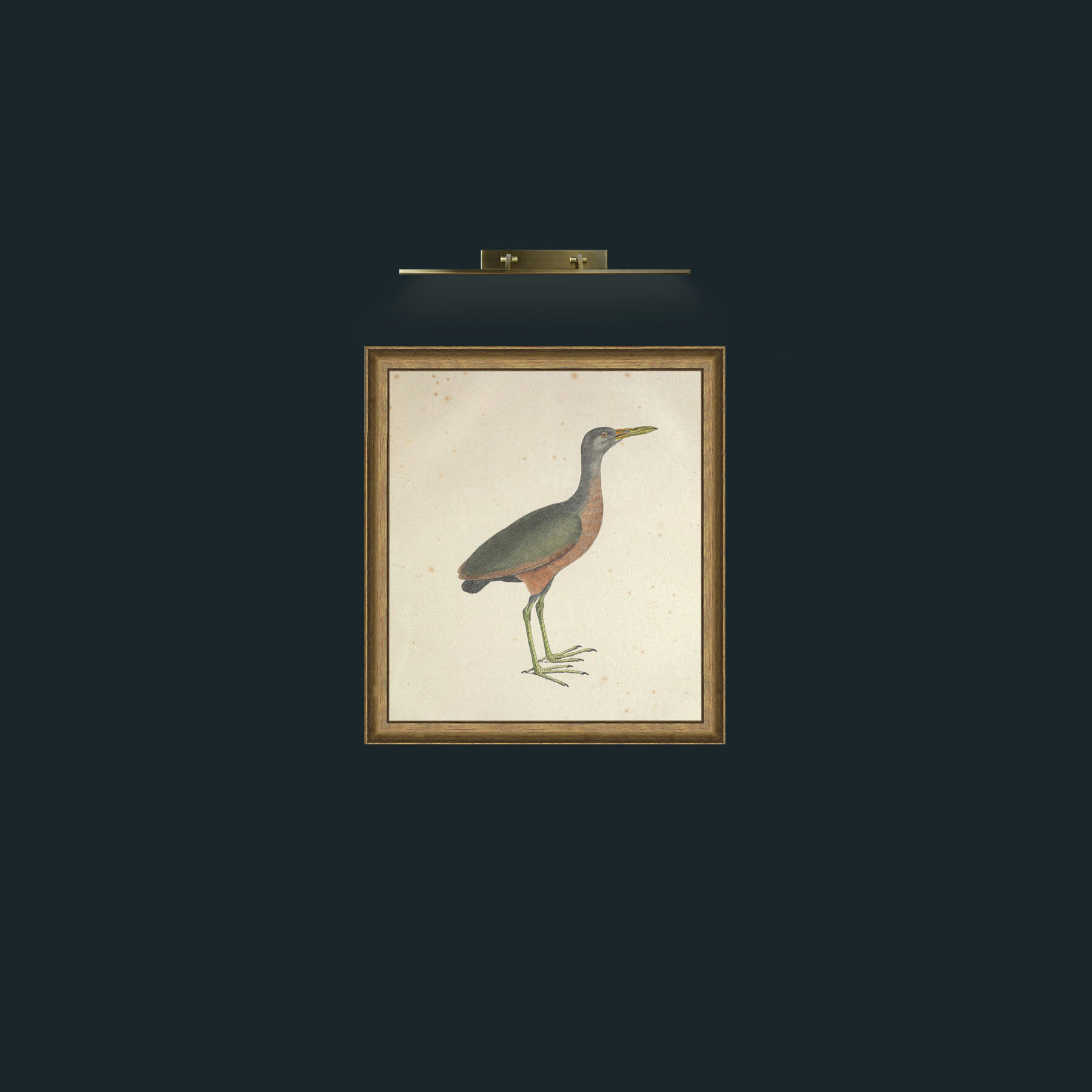 Art-Mangle GallinulaFrame-9RedGreenGilt-Art-Mangle Gallinula.jpg