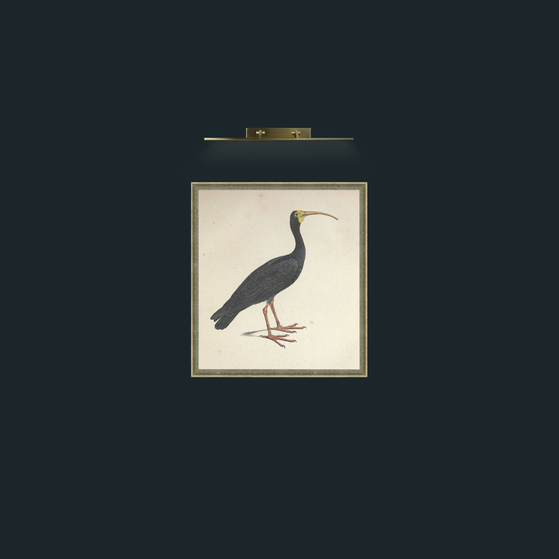 Art-Nudifrons IbisFrame-2GreenGiltTextured-Art-Nudifrons Ibis.jpg