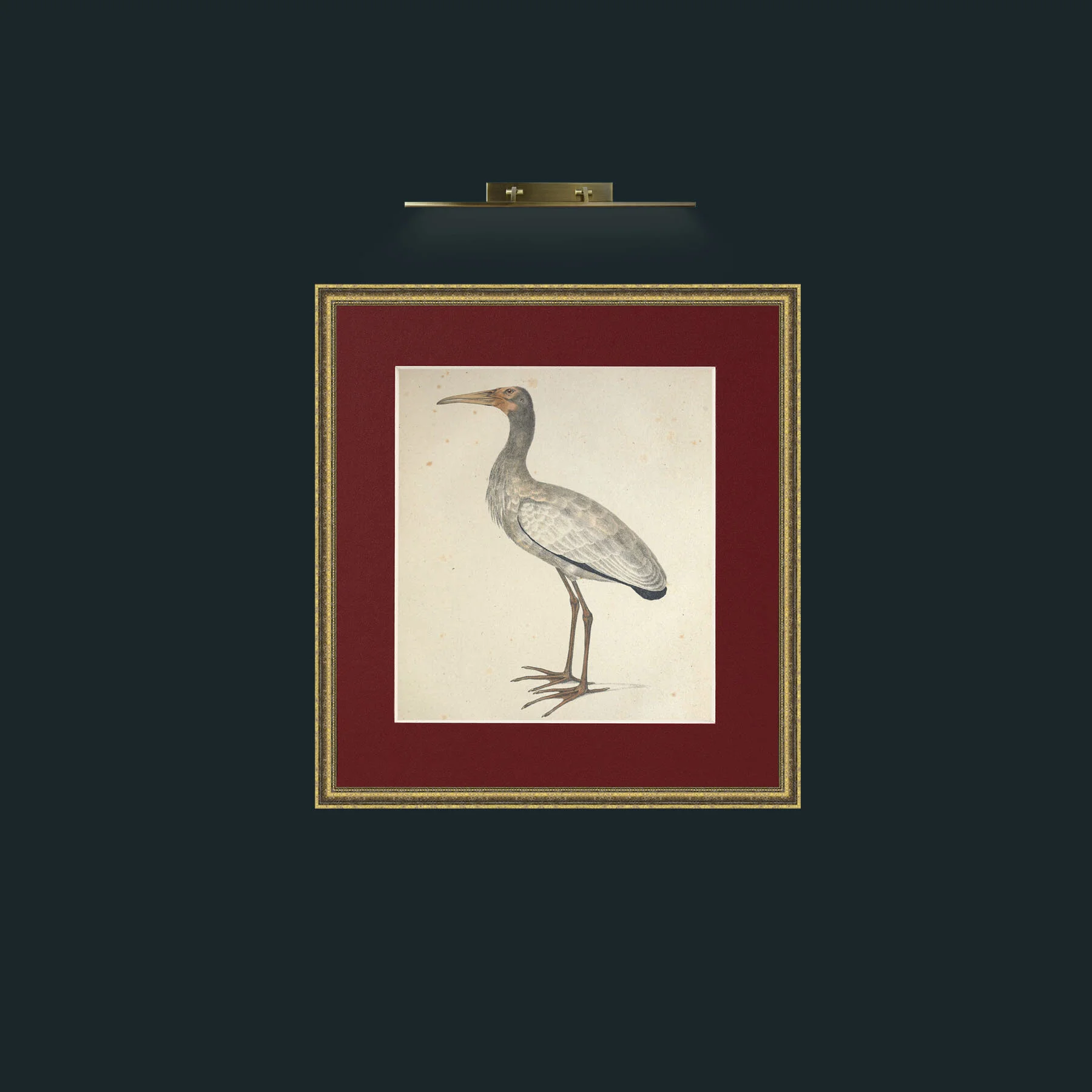 Art-Plumicollis TantalusFrame-1GiltTextured-Mount-4Red-Art-Plumicollis Tantalus.jpg