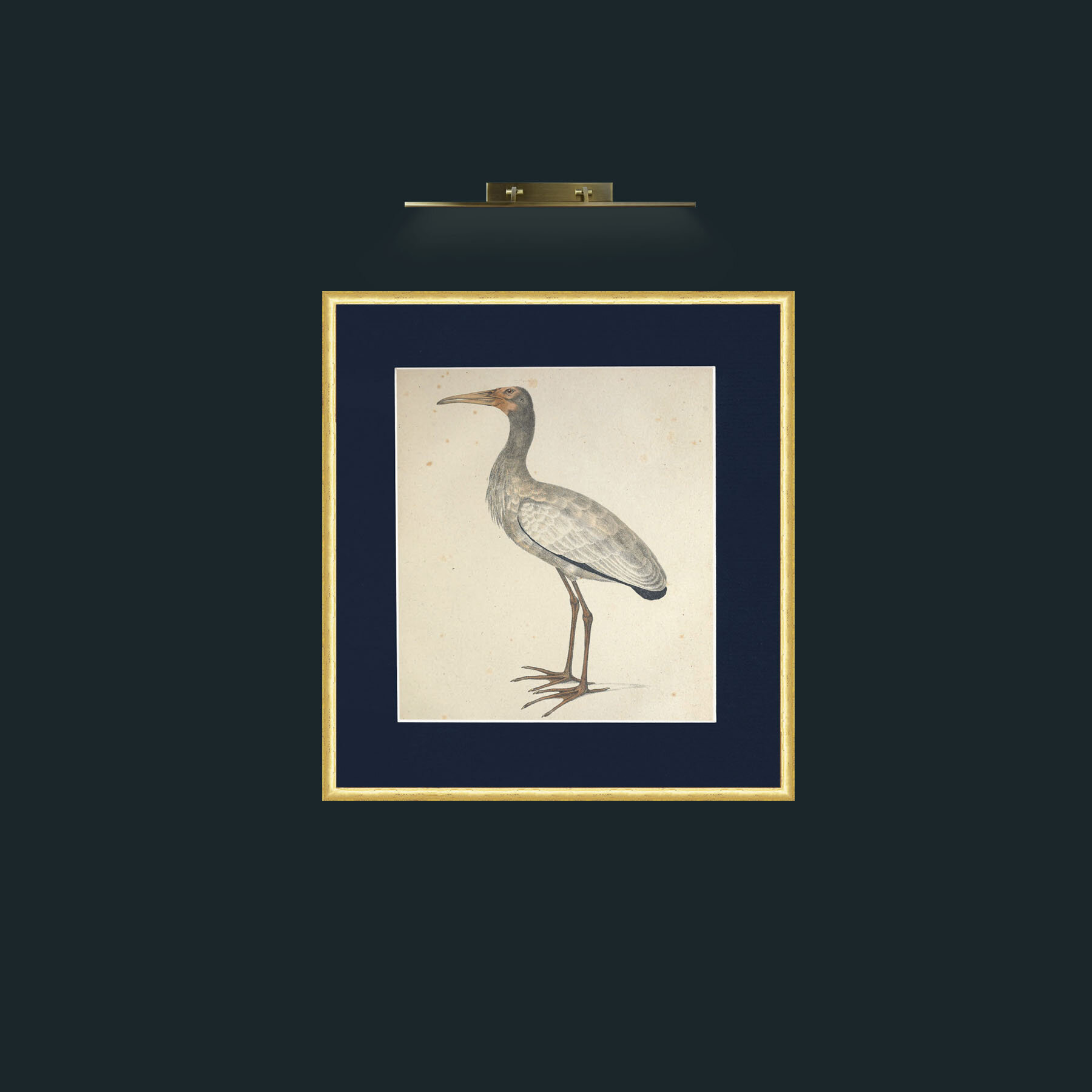 Art-Plumicollis TantalusFrame-3RoundedGilt-Mount-3Blue-Art-Plumicollis Tantalus.jpg