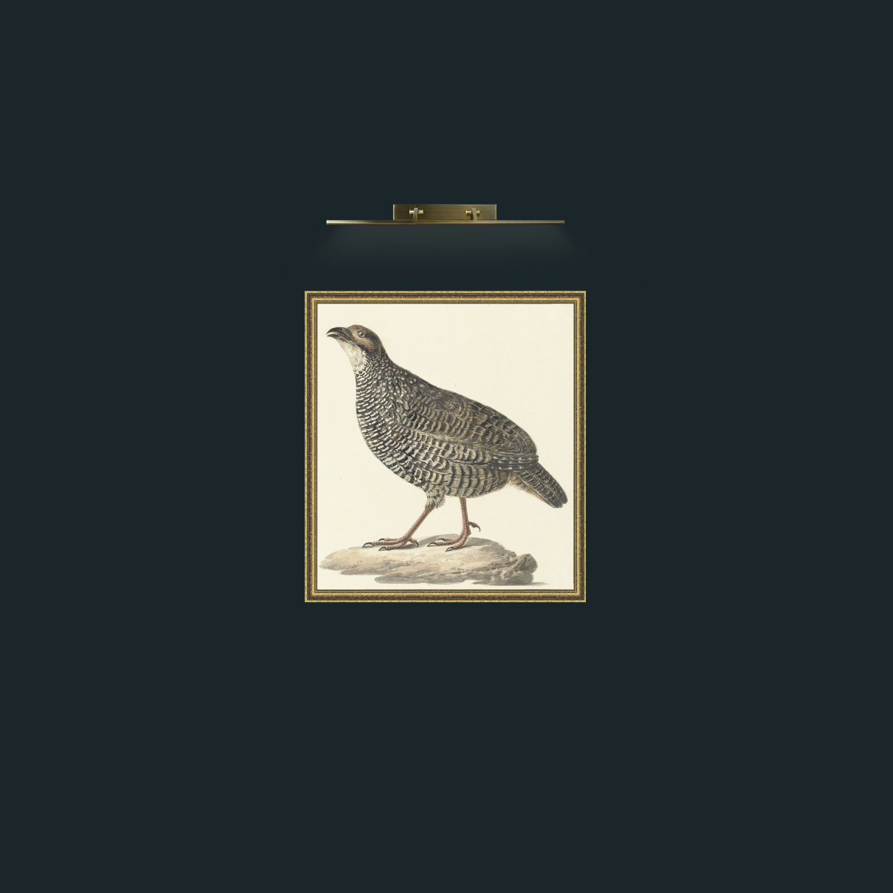 Art-QuailFrame-1GiltTextured-Art-Quail.jpg