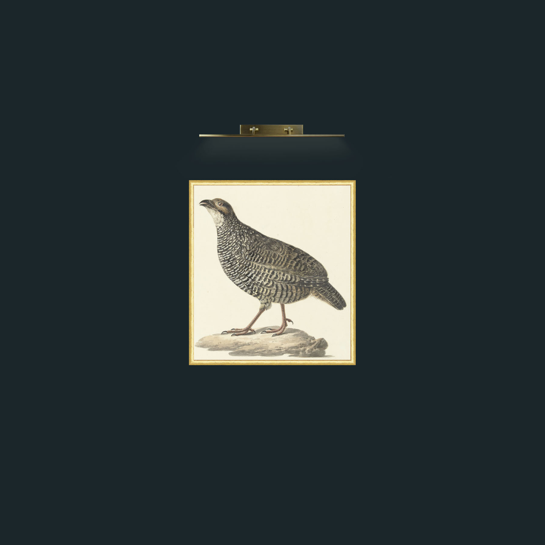 Art-QuailFrame-3RoundedGilt-Art-Quail.jpg