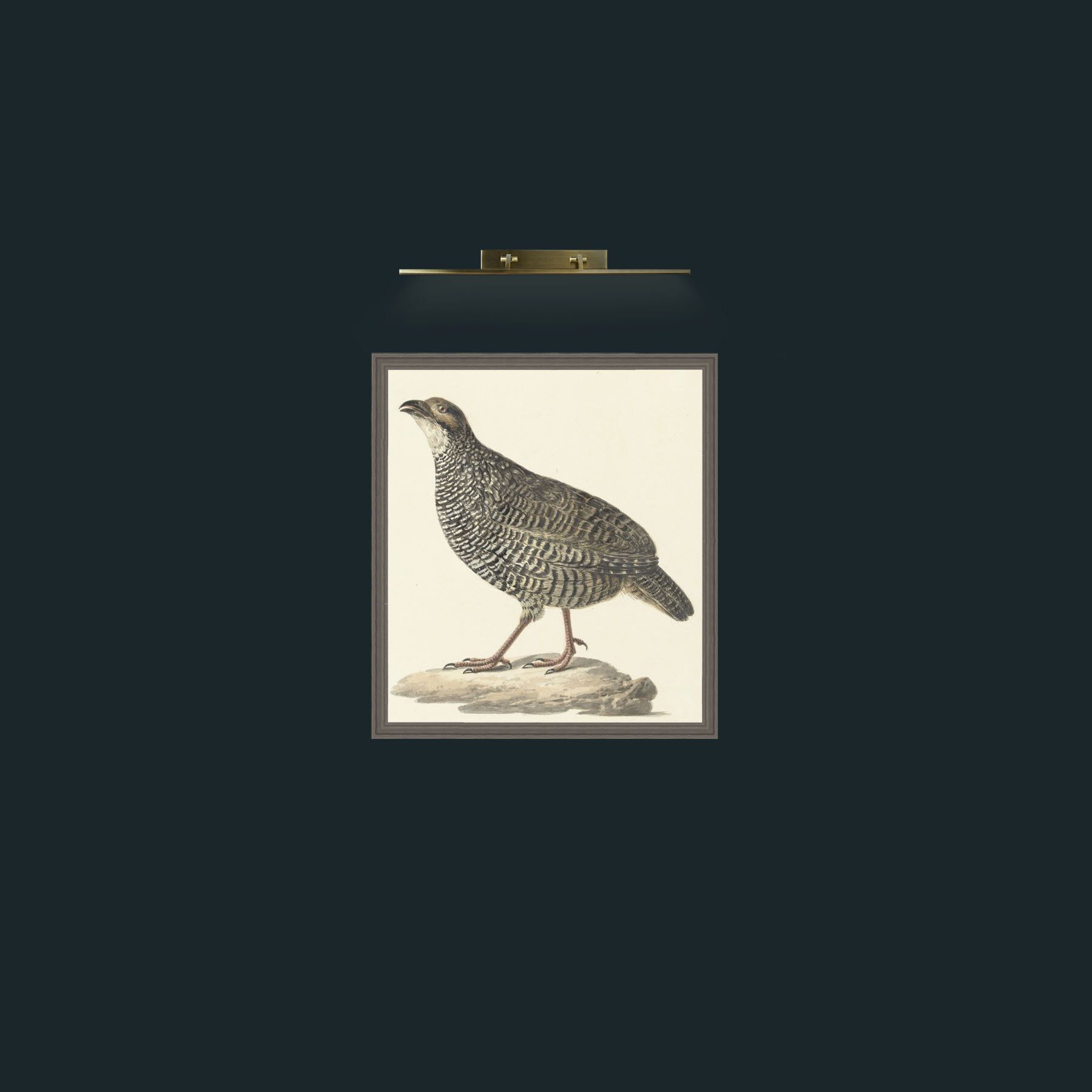 Art-QuailFrame-6Grey-Art-Quail.jpg