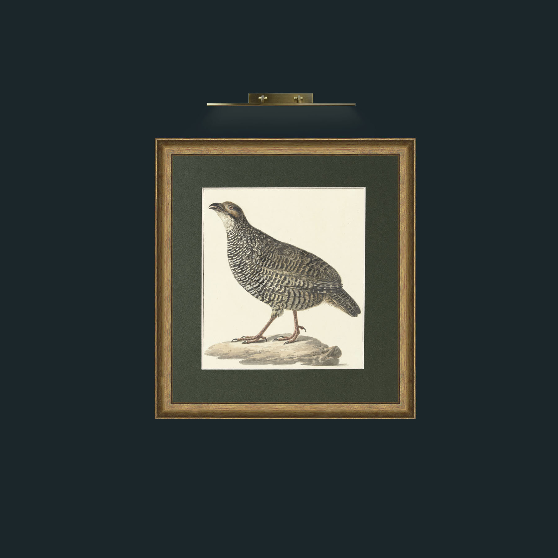 Art-QuailFrame-8RedGreenGilt-Mount-2Green-Art-Quail.jpg