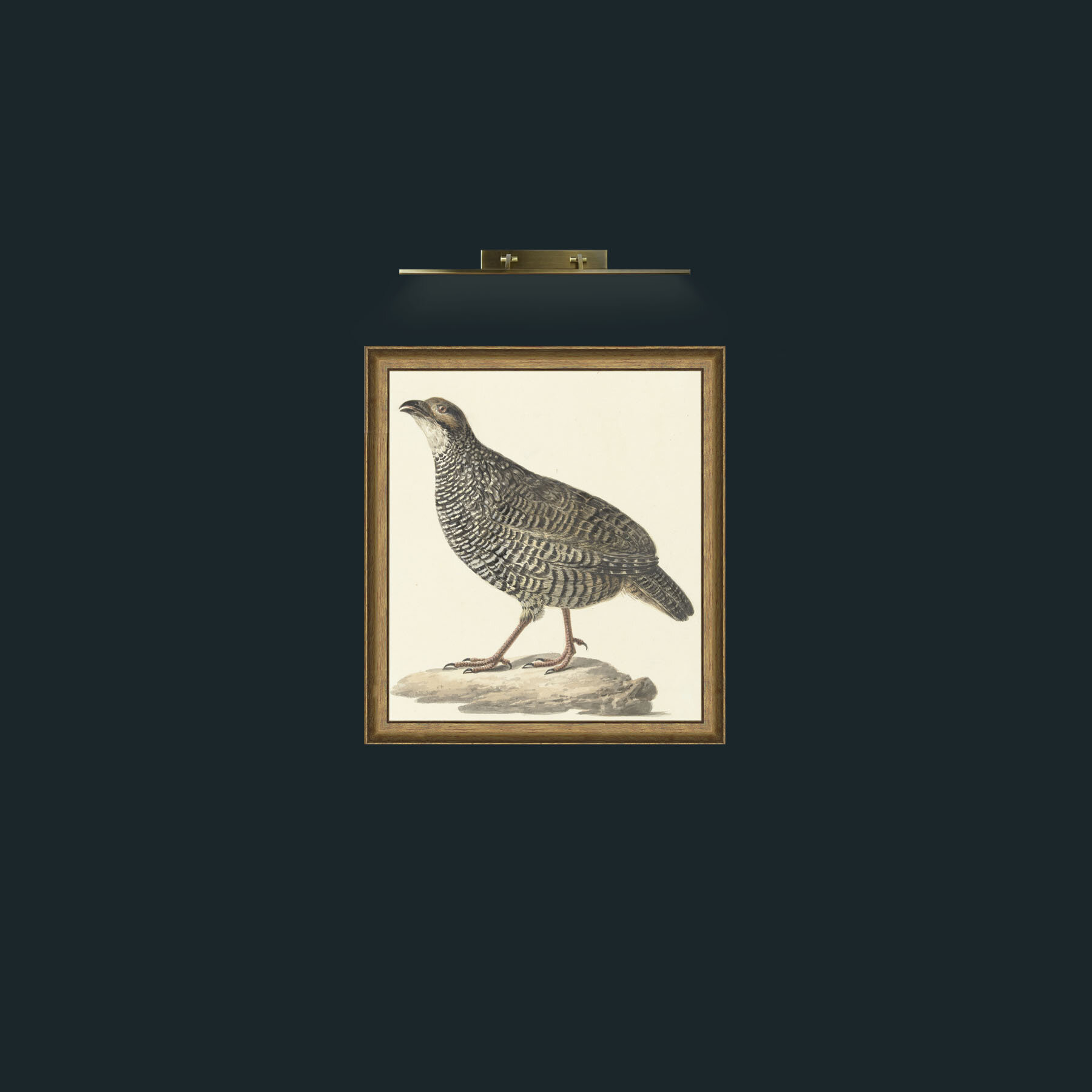 Art-QuailFrame-9RedGreenGilt-Art-Quail.jpg