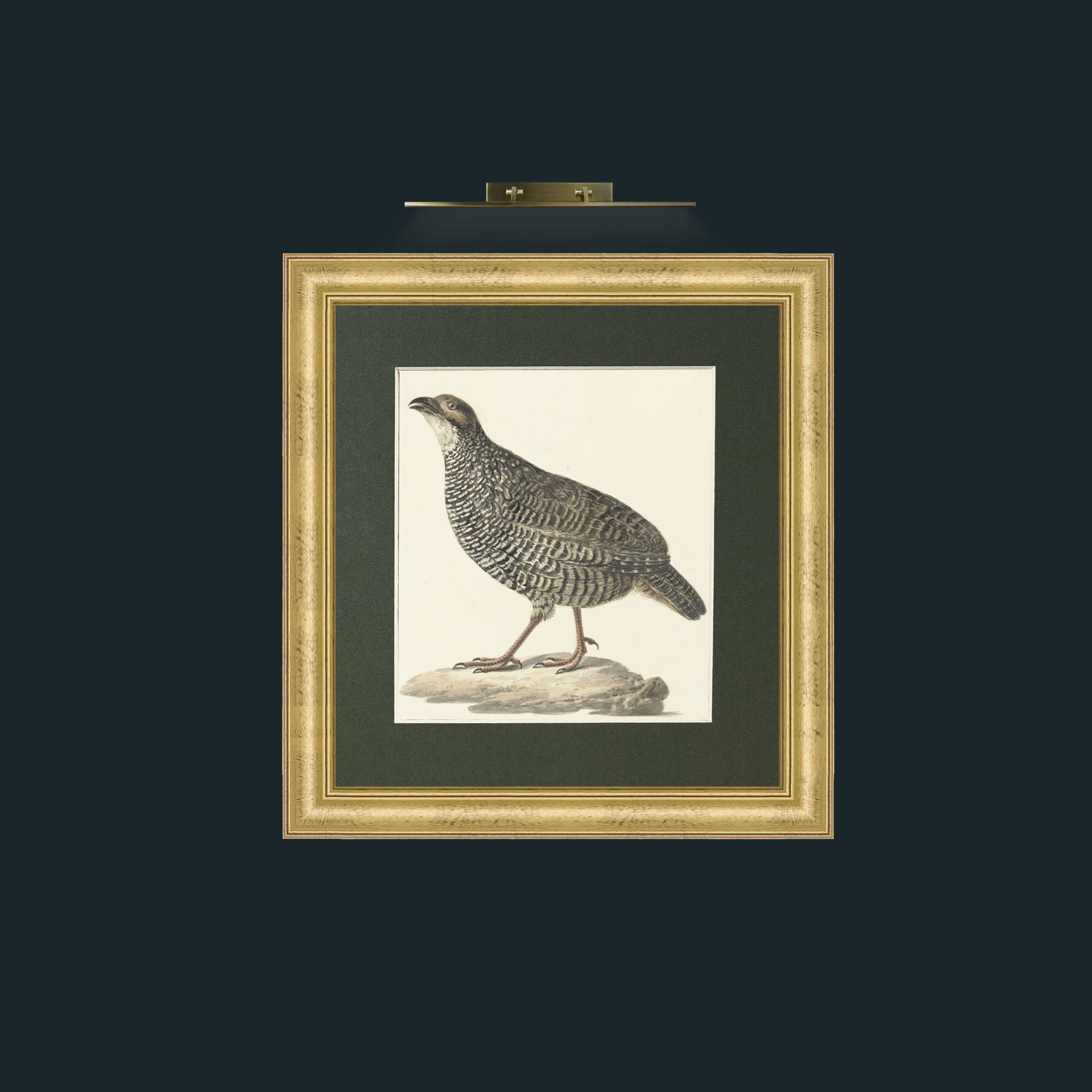 Art-QuailFrame-9WideGilt-Mount-2Green-Art-Quail.jpg