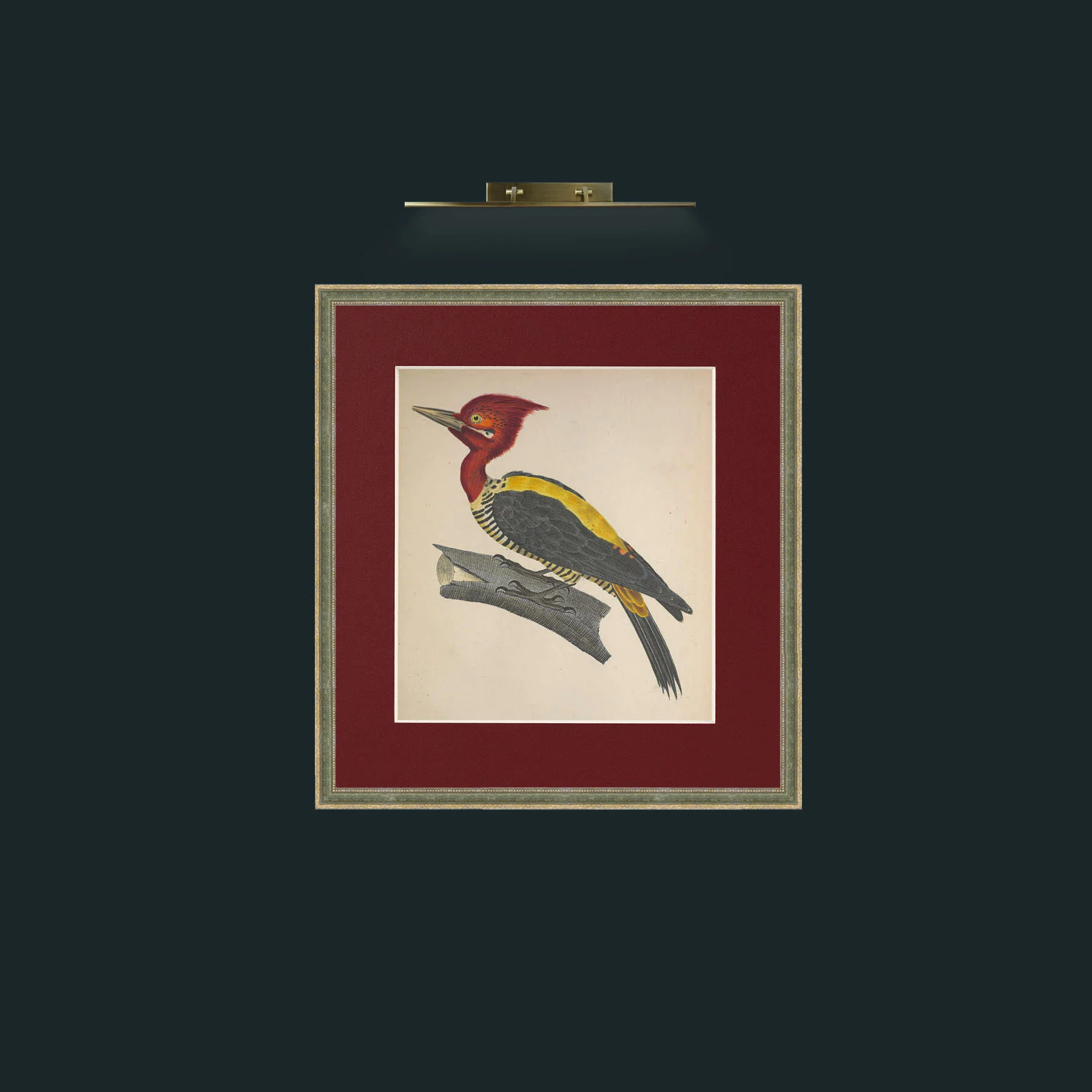Art-Robustus PicusFrame-2GreenGiltTextured-Mount-4Red-Art-Robustus Picus.jpg