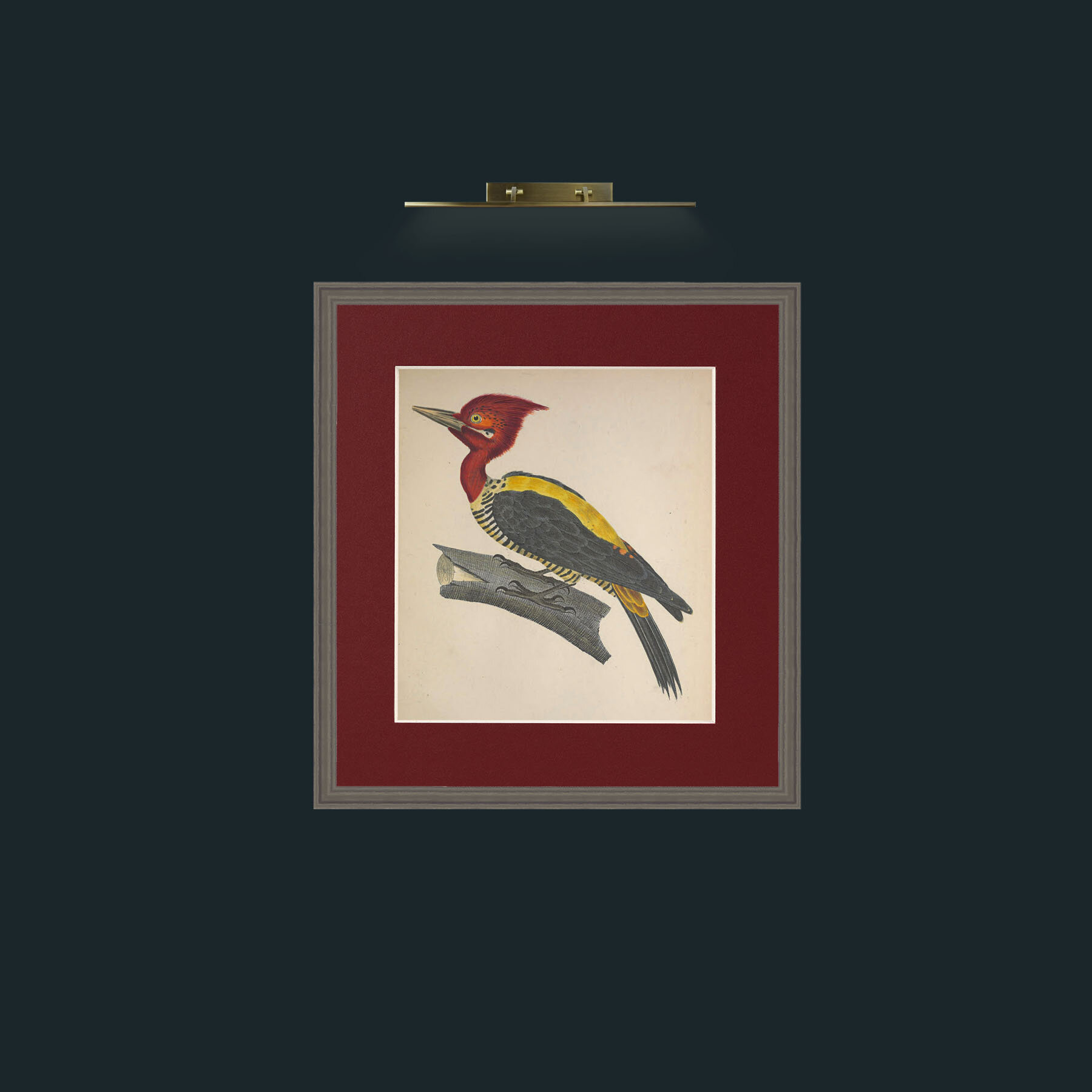 Art-Robustus PicusFrame-6Grey-Mount-4Red-Art-Robustus Picus.jpg