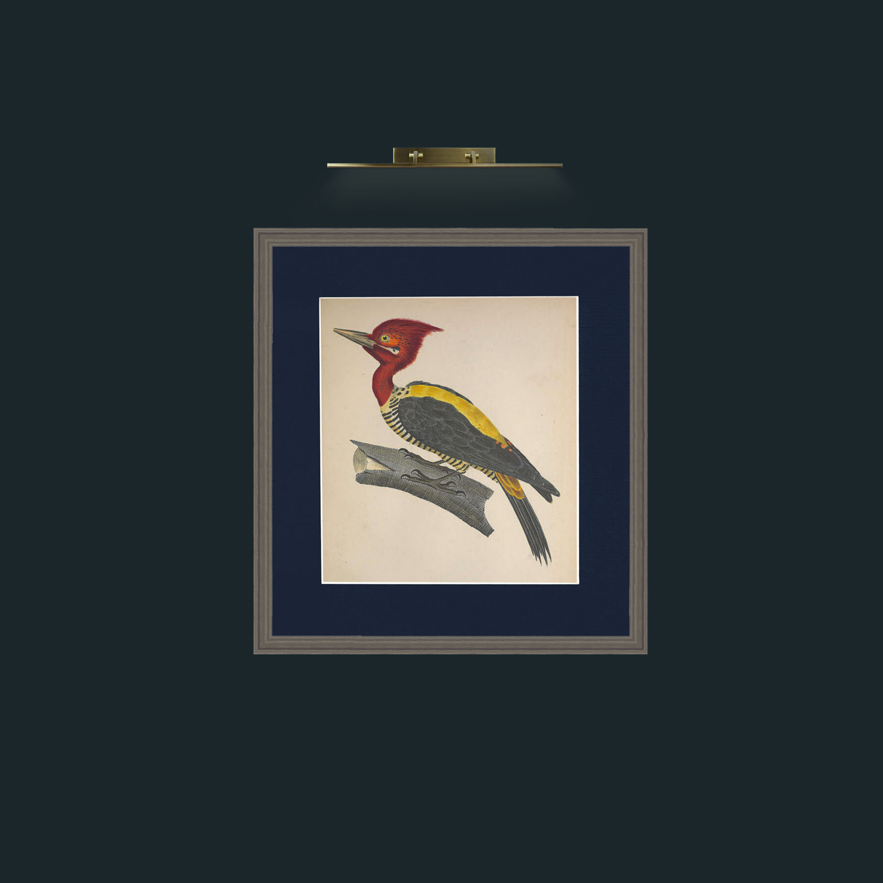 Art-Robustus PicusFrame-6Grey-Mount-3Blue-Art-Robustus Picus.jpg
