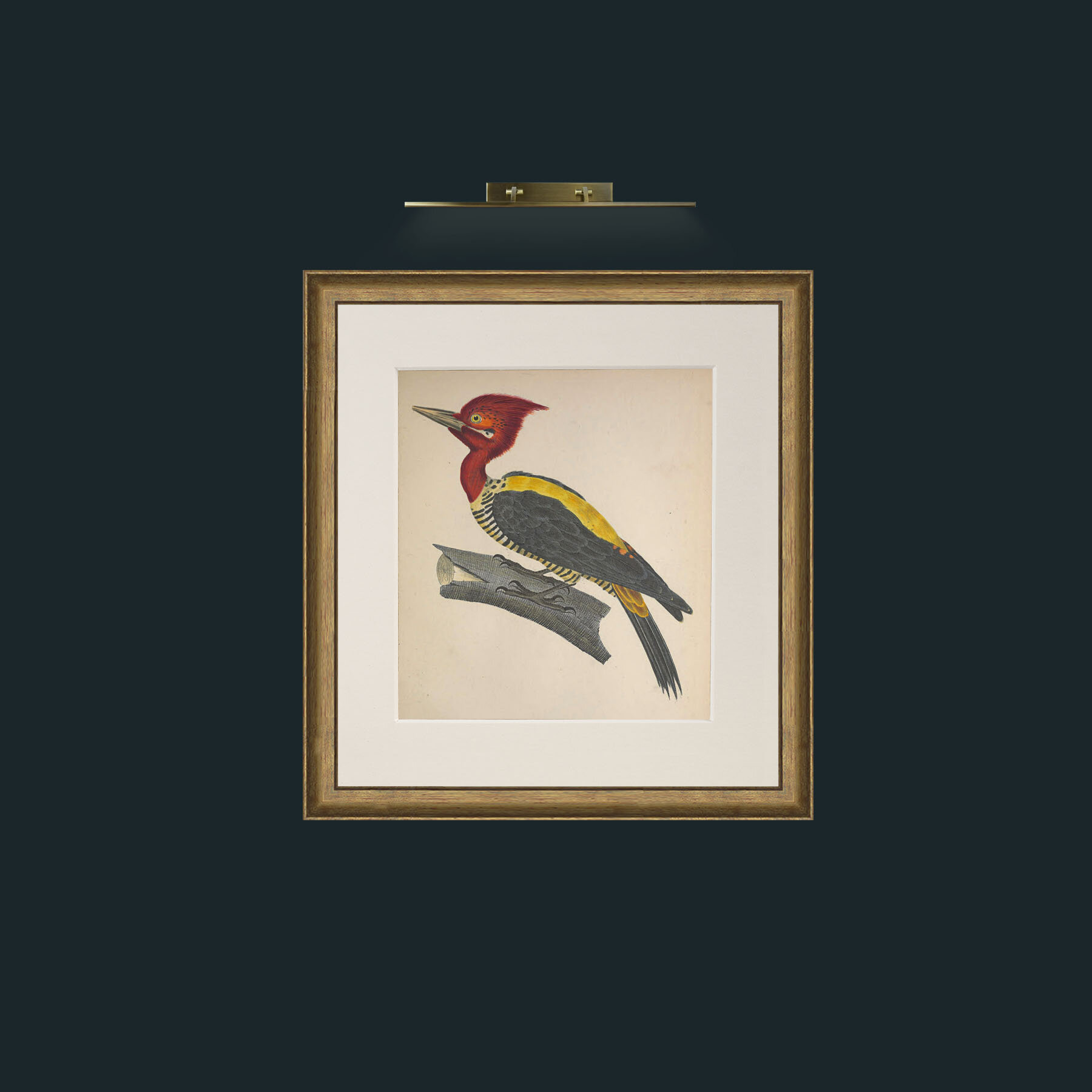 Art-Robustus PicusFrame-8RedGreenGilt-Mount-1Antique-Art-Robustus Picus.jpg