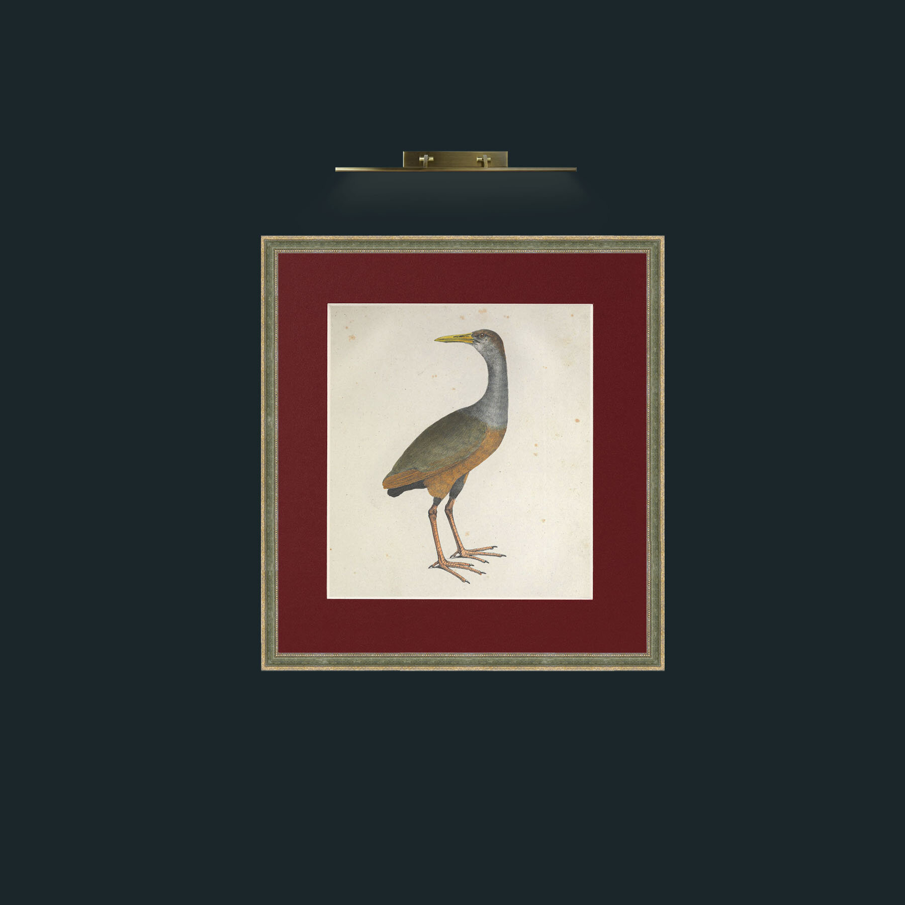 Art-Ruficeps GallinulaFrame-2GreenGiltTextured-Mount-4Red-Art-Ruficeps Gallinula.jpg