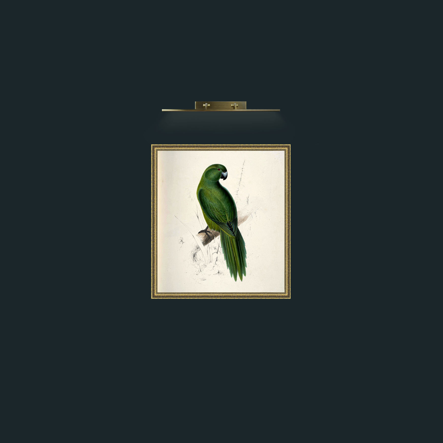 Art-Uniform ParrakeetFrame-1GiltTextured-Art-Uniform Parrakeet.jpg