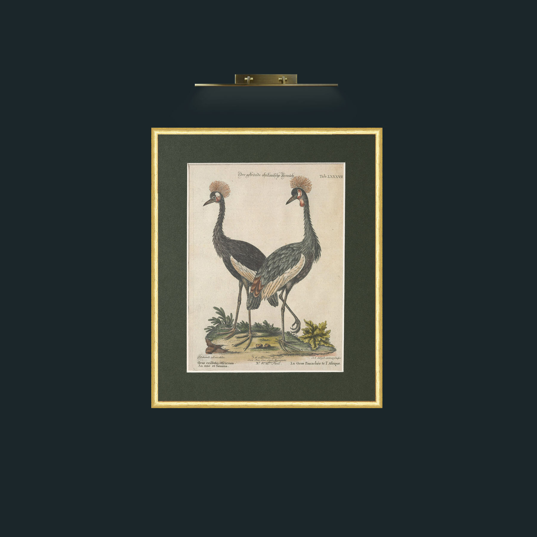 Art-African Panachee Crane-Frame-3RoundedGilt-Mount-2Green.jpg