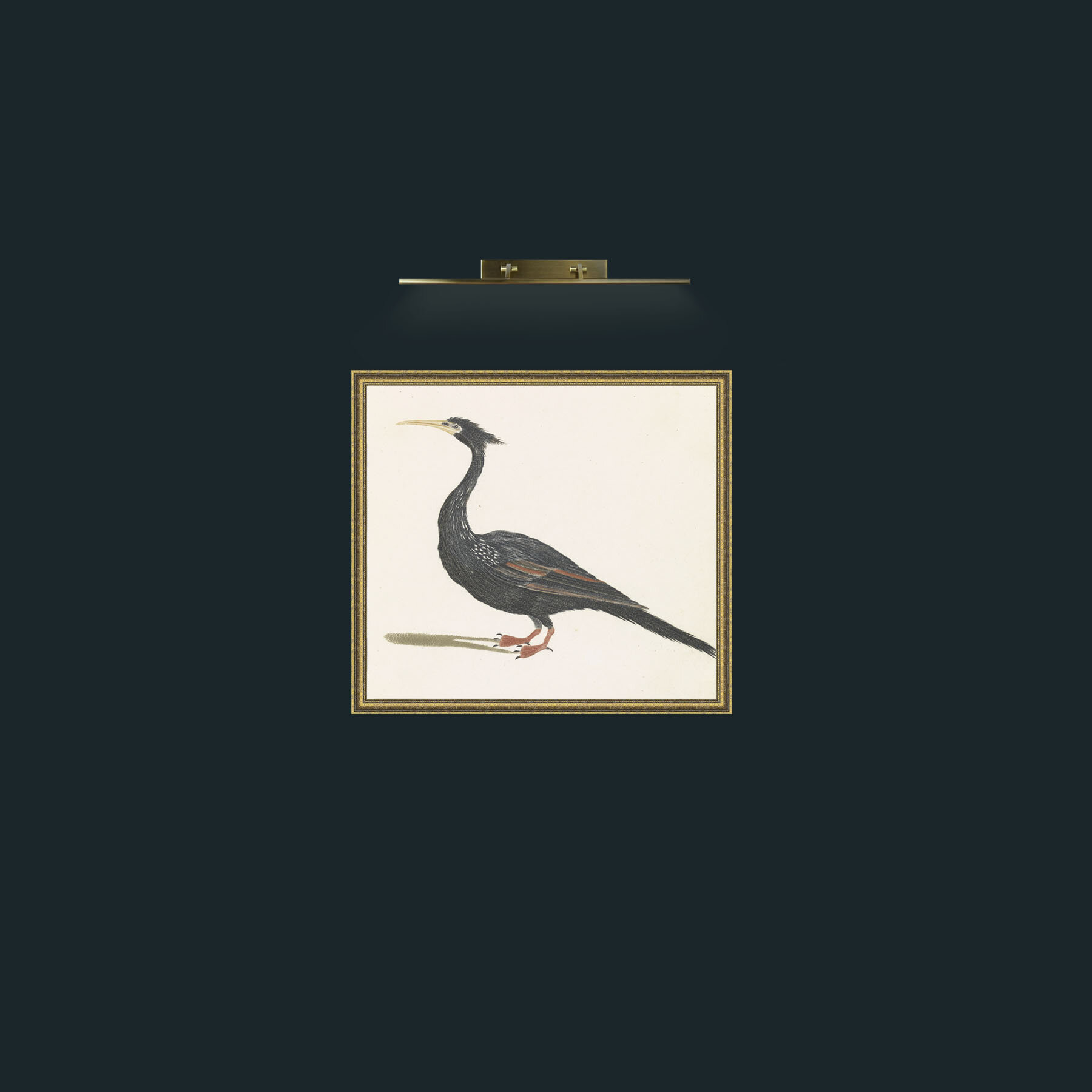 Art-AfricanDarter-Frame-1GiltTextured.jpg
