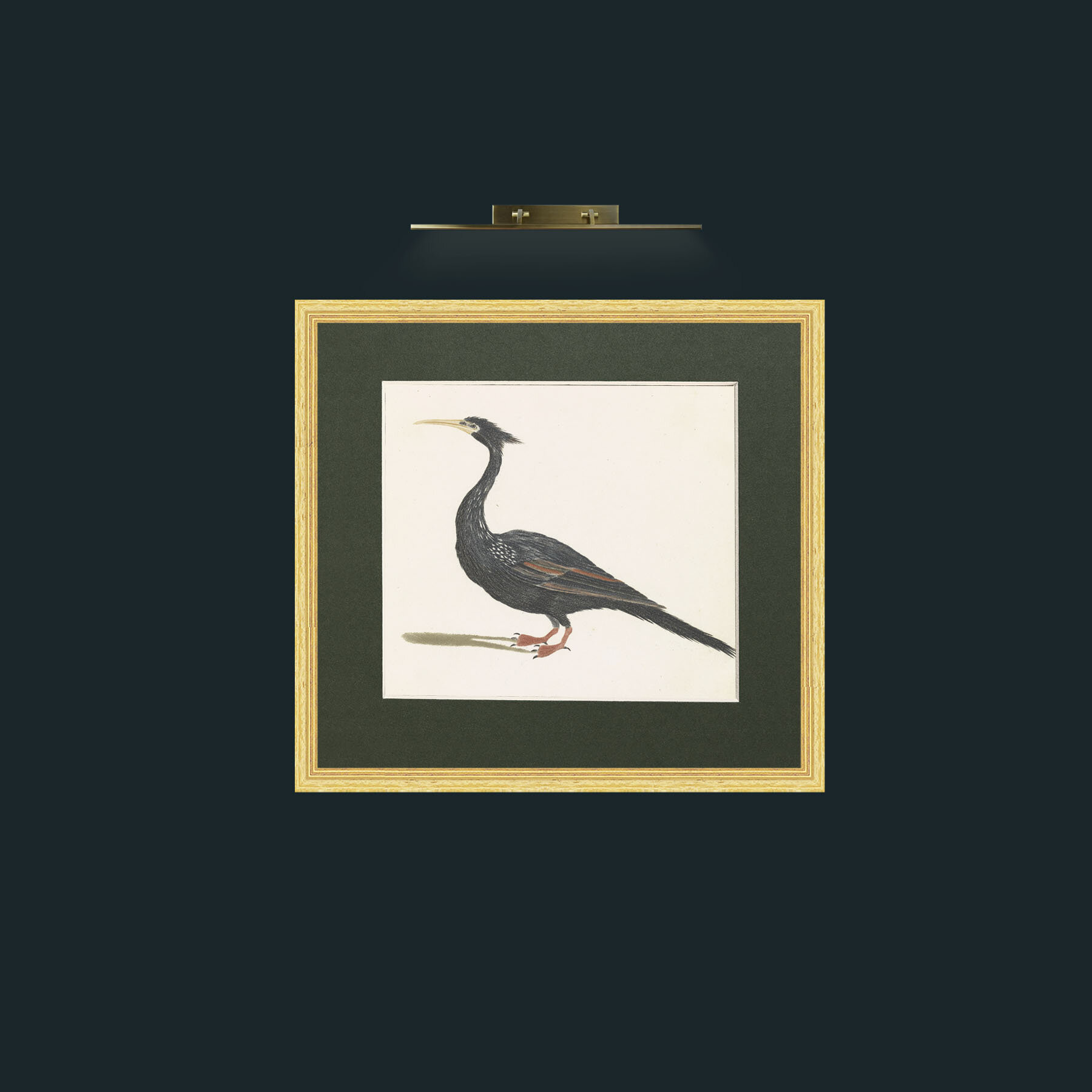 Art-AfricanDarter-Frame-4BevelledGilt-Mount-2Green.jpg