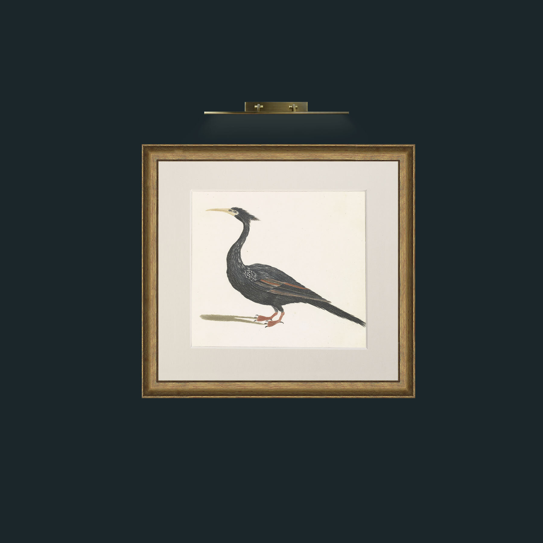 Art-AfricanDarter-Frame-8RedGreenGilt-Mount-1Antique.jpg