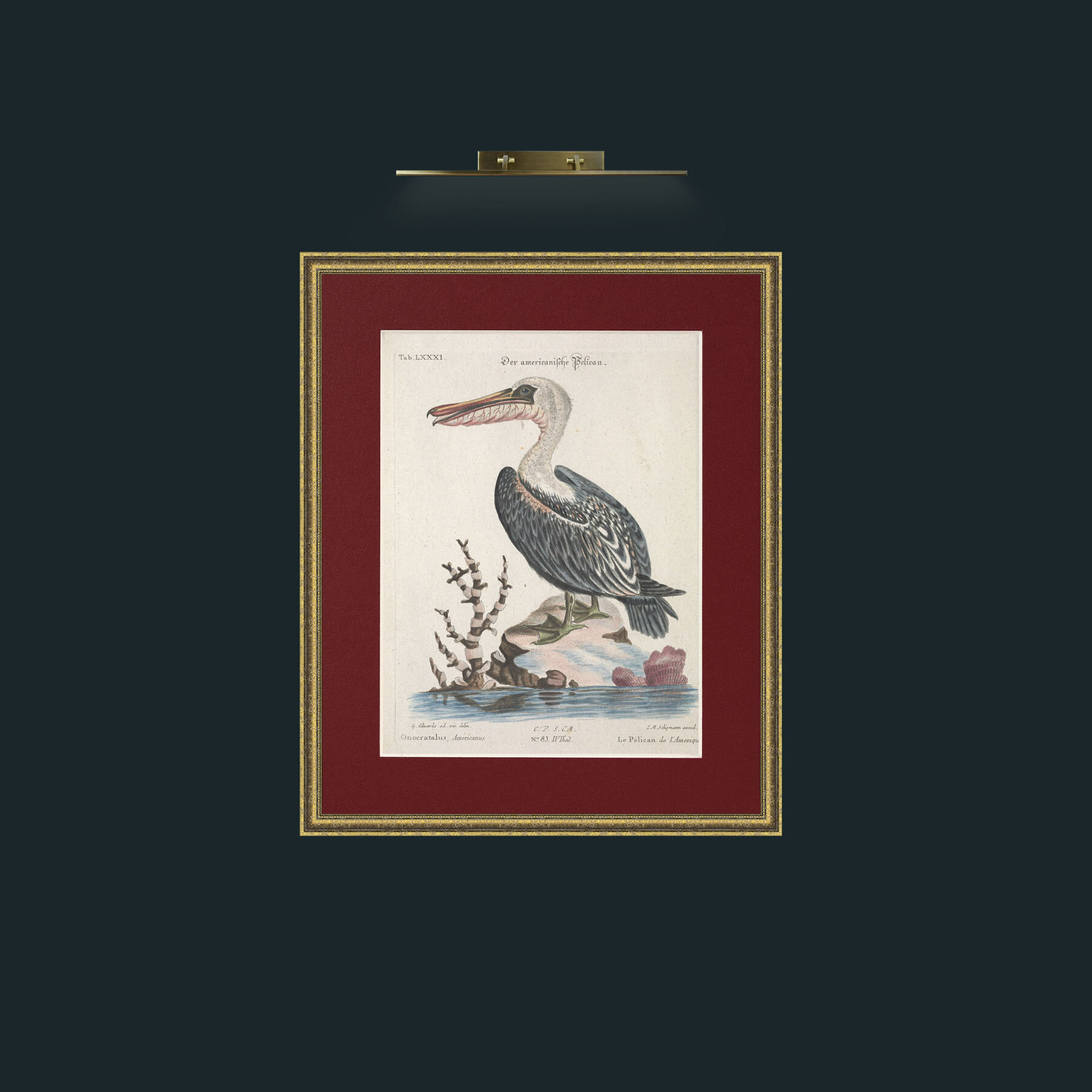 Art-American Pelican-Frame-1GiltTextured-Mount-4Red.jpg