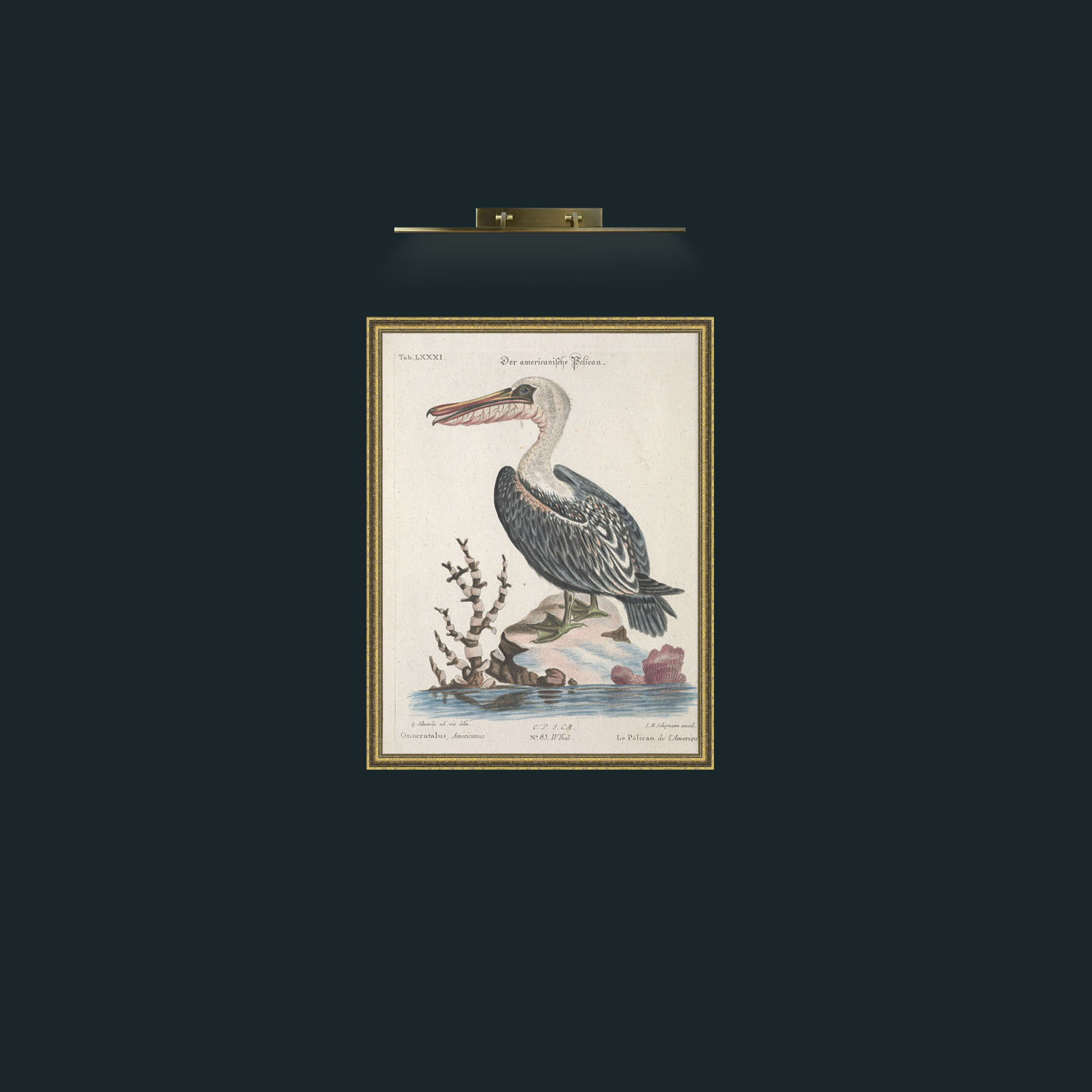 Art-American Pelican-Frame-1GiltTextured.jpg