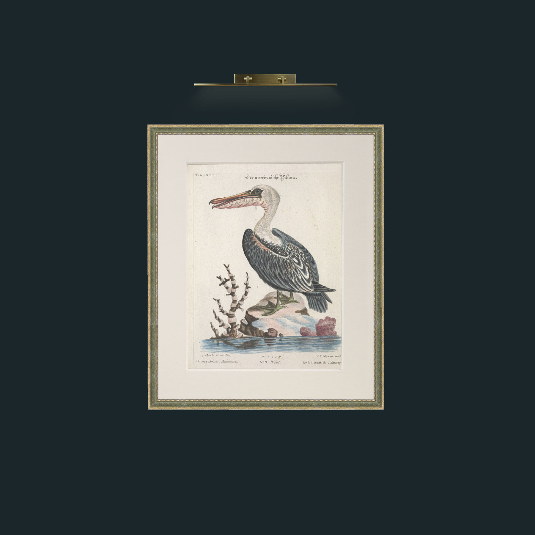 Art-American Pelican-Frame-2GreenGilttextured-Mount-1Antique.jpg