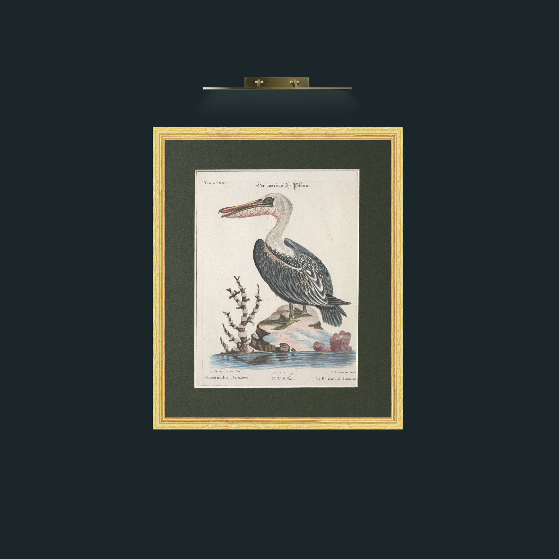 Art-American Pelican-Frame-4BevelledGilt-Mount-2Green.jpg