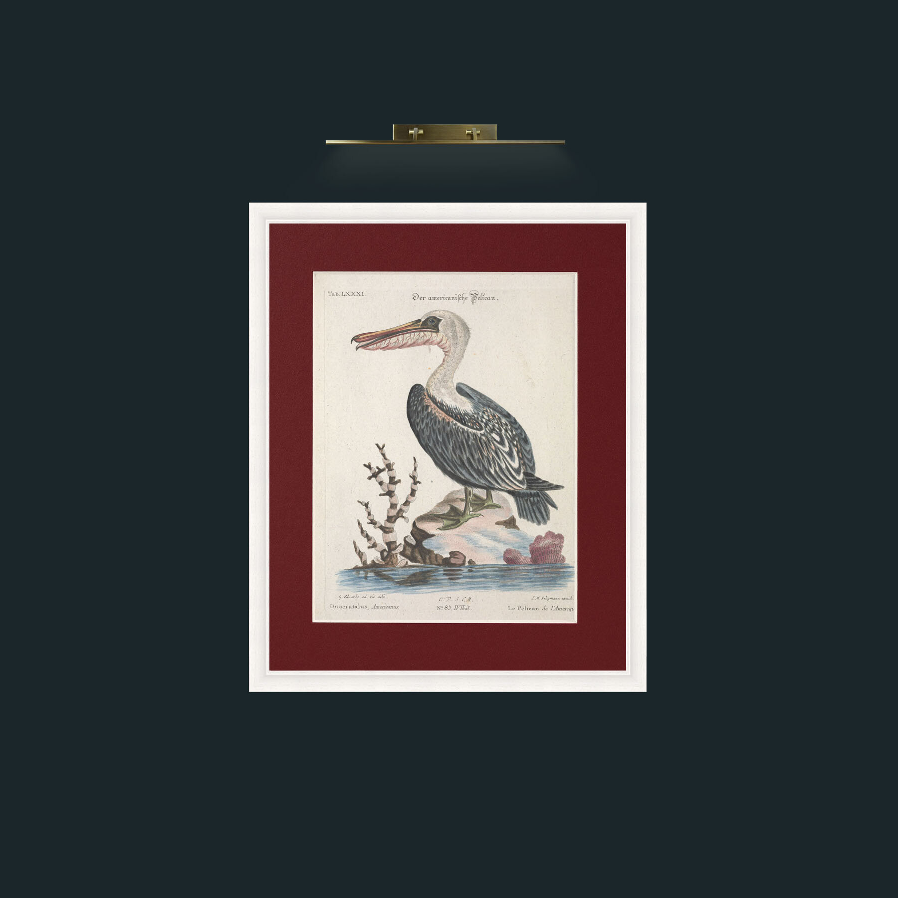 Art-American Pelican-Frame-5White-Mount-4Red.jpg