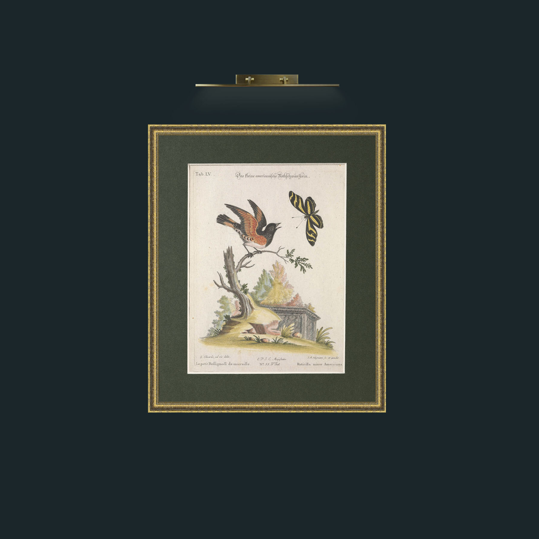 Art-American Redstart-Frame-1GiltTextured-Mount-2Green.jpg