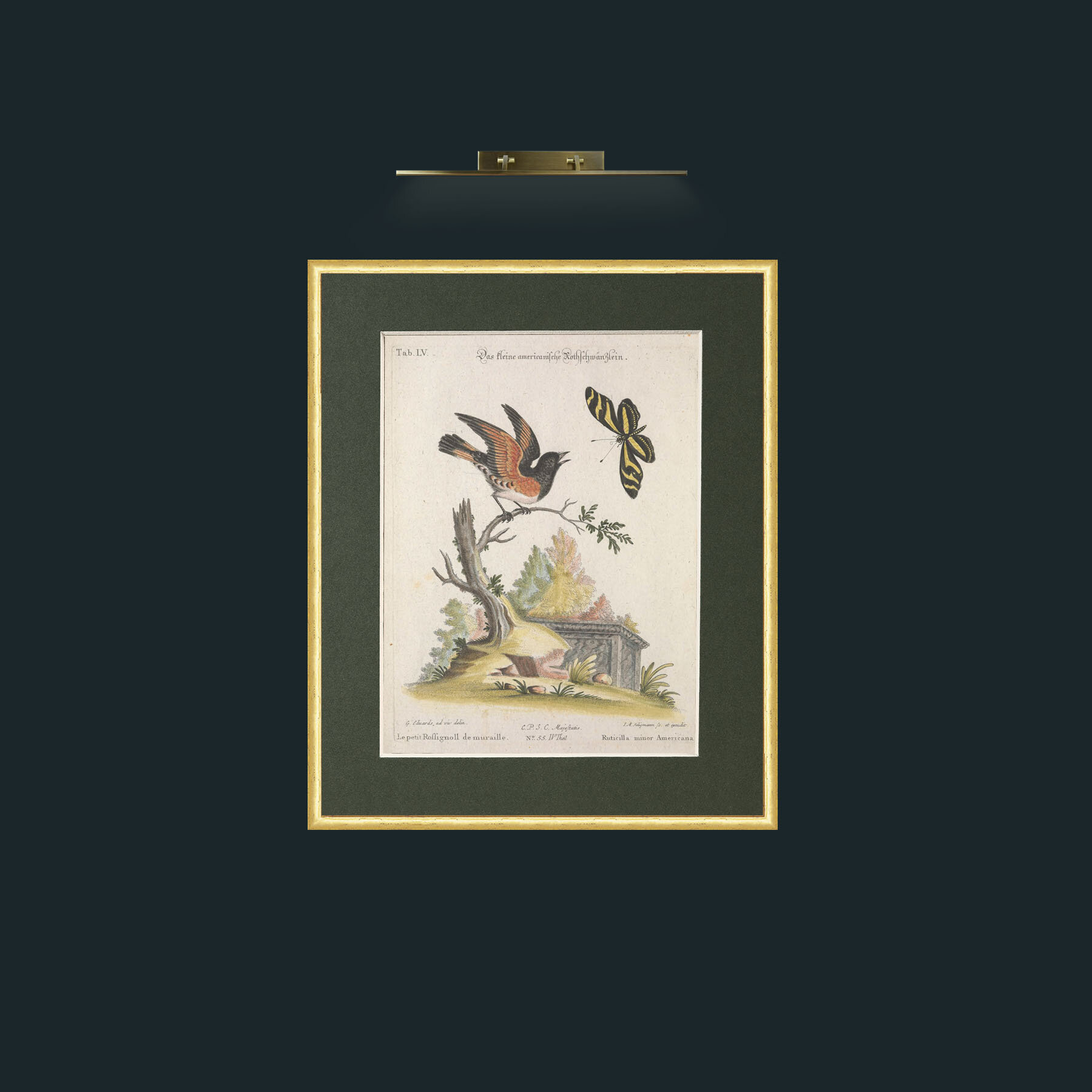 Art-American Redstart-Frame-3RoundedGilt-Mount-2Green.jpg