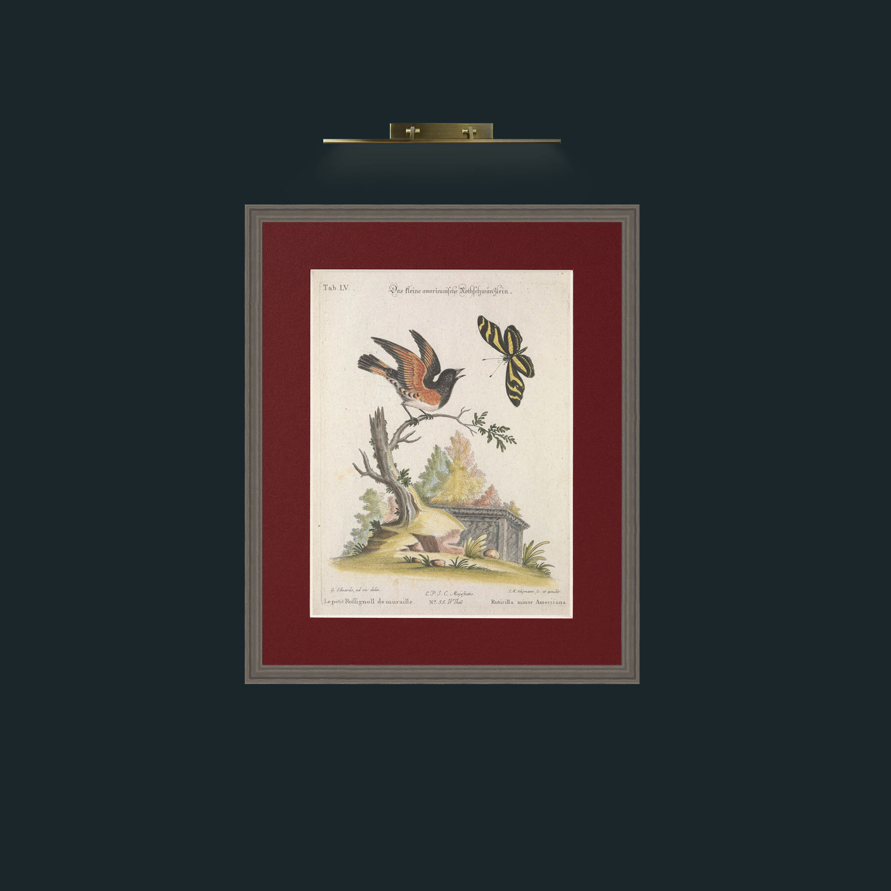 Art-American Redstart-Frame-6Grey-Mount-4Red.jpg
