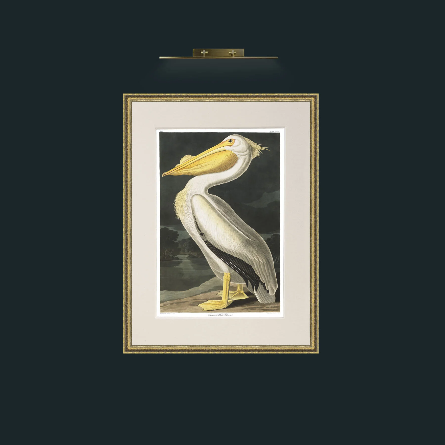 Art-American White Pelican.jpg-Frame-1TexturedGilt-Mount-1Antique.jpg