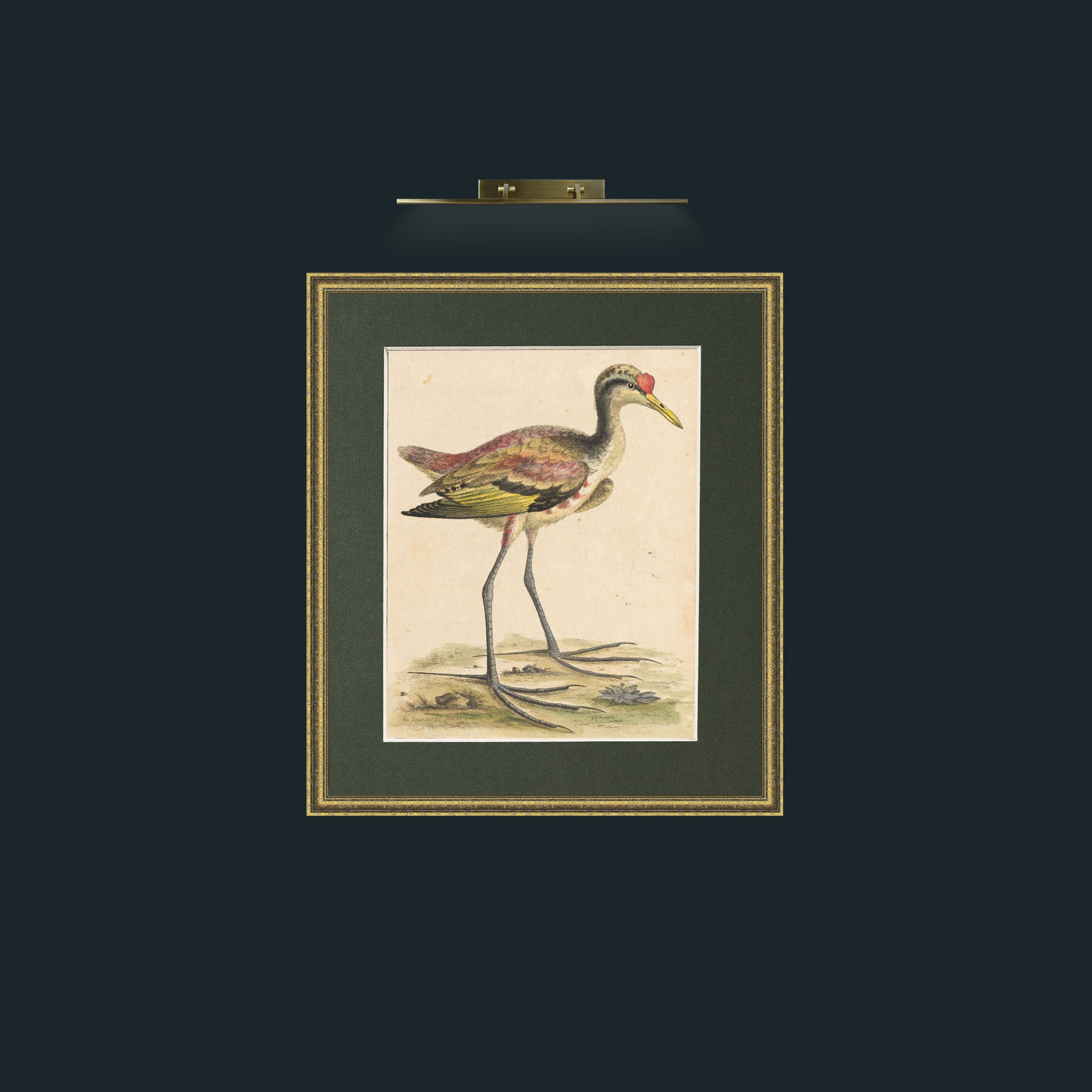 Art-Big FeetFrame-1GiltTextured-Mount-2Green-Art-Big Feet.jpg