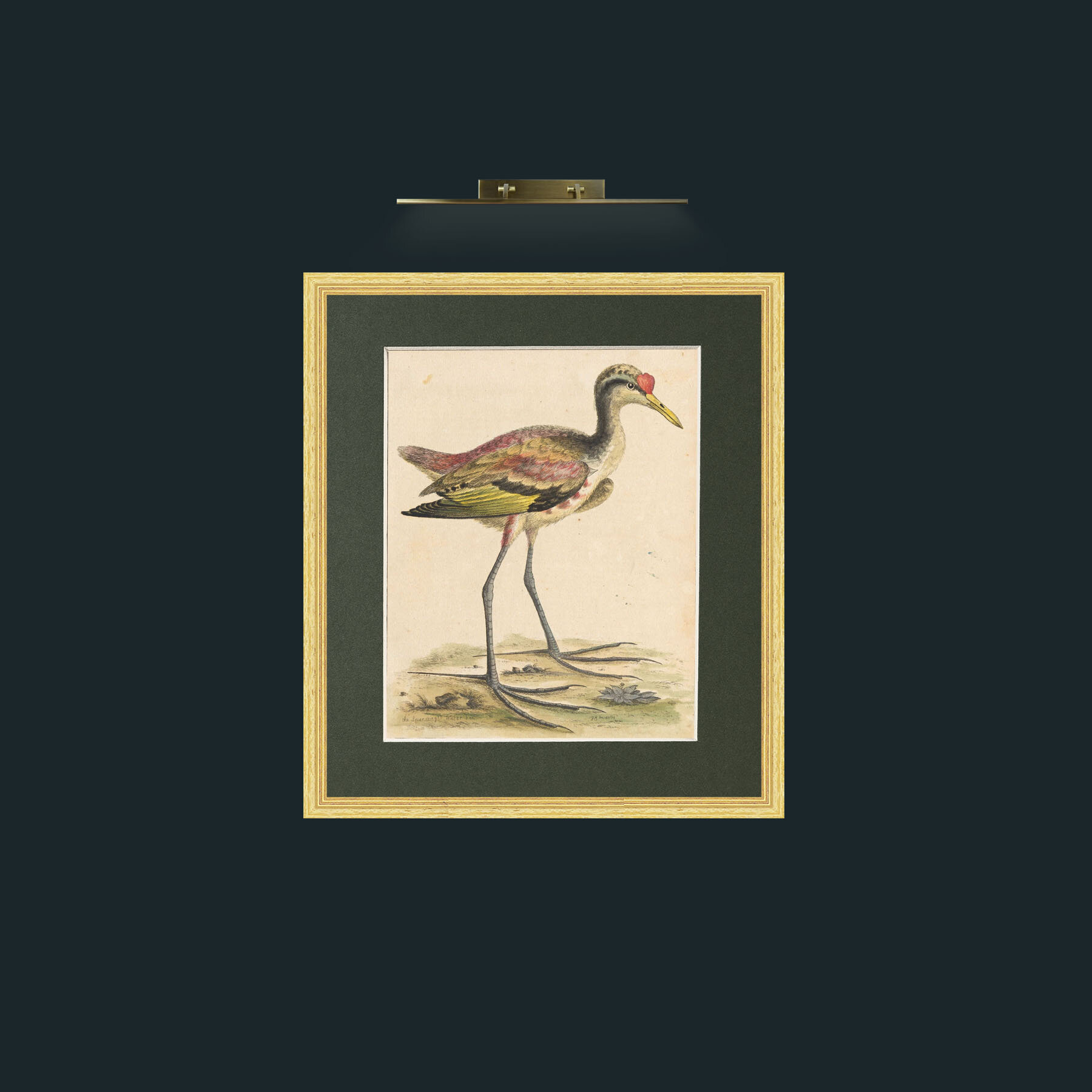 Art-Big FeetFrame-4BevelledGilt-Mount-2Green-Art-Big Feet.jpg