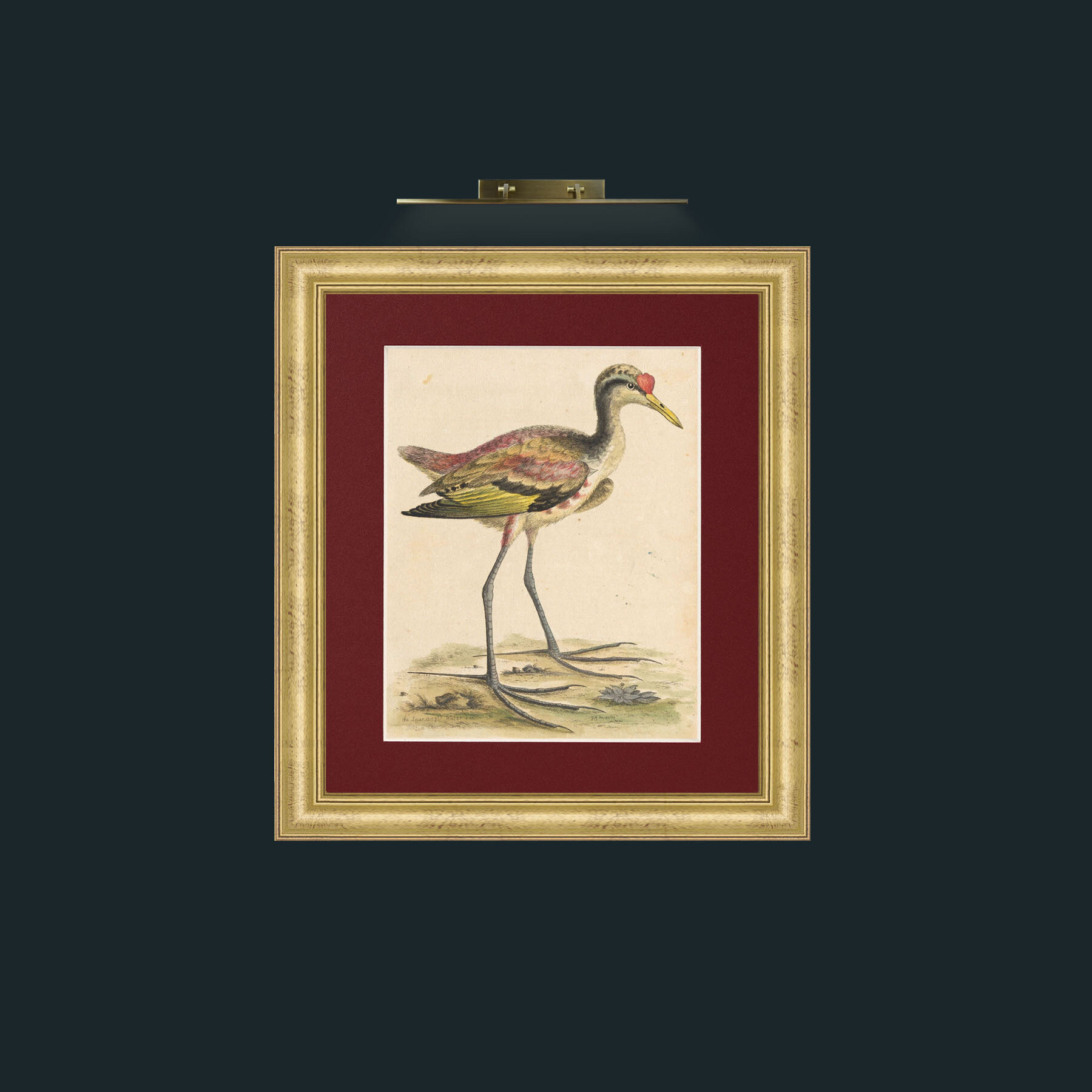 Art-Big FeetFrame-9WideGilt-Mount-4Red-Art-Big Feet.jpg