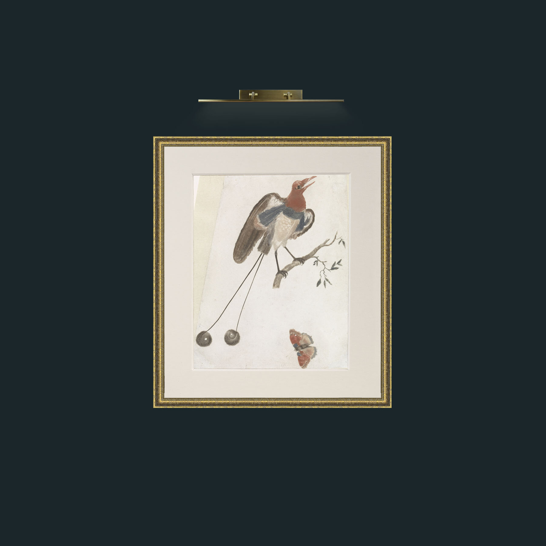 Art-Bird of ParadiseFrame-1GiltTextured-Mount-1Antique-Art-Bird of Paradise.jpg